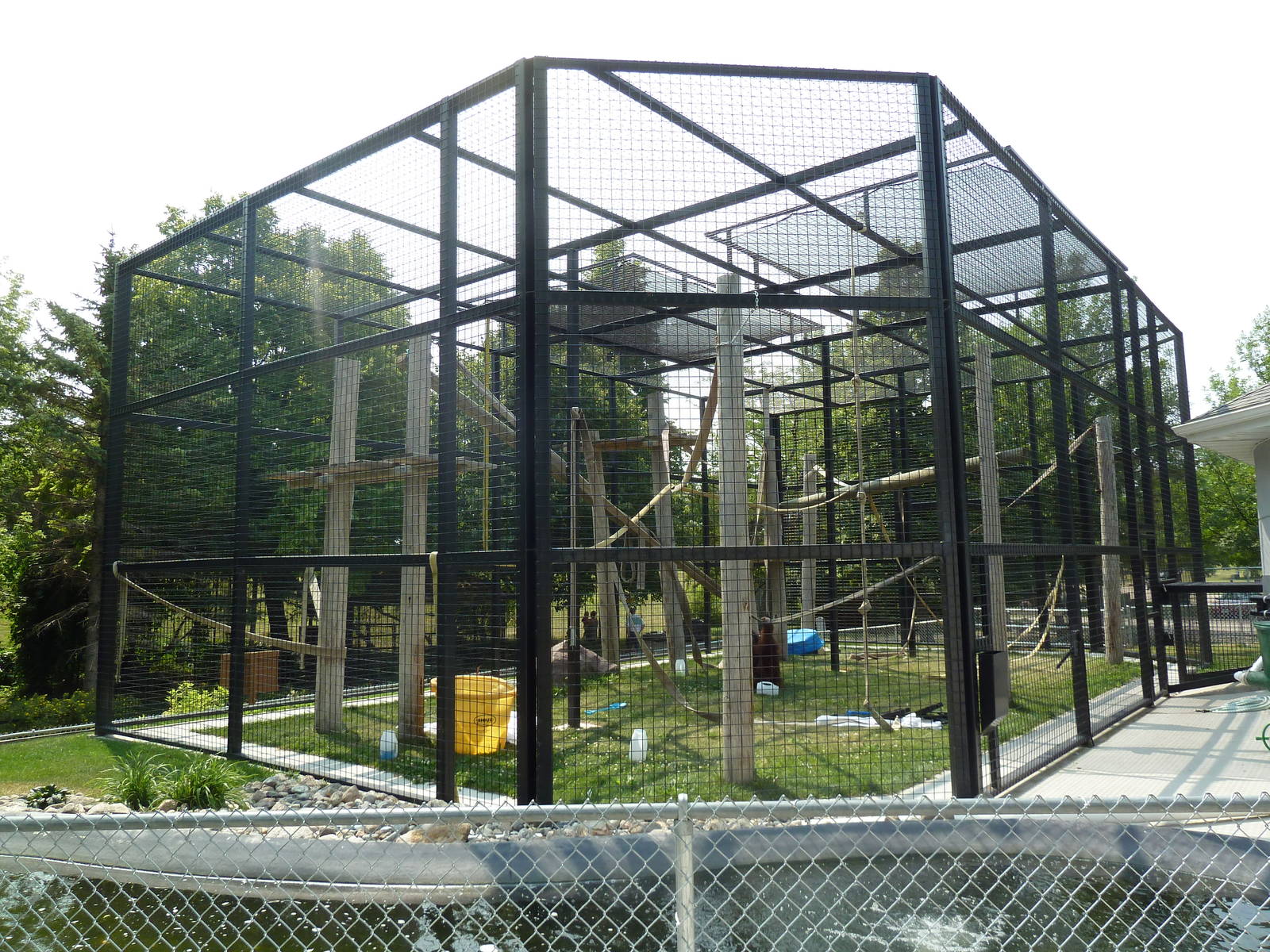 Orangutan Exhibit - New in 2011
