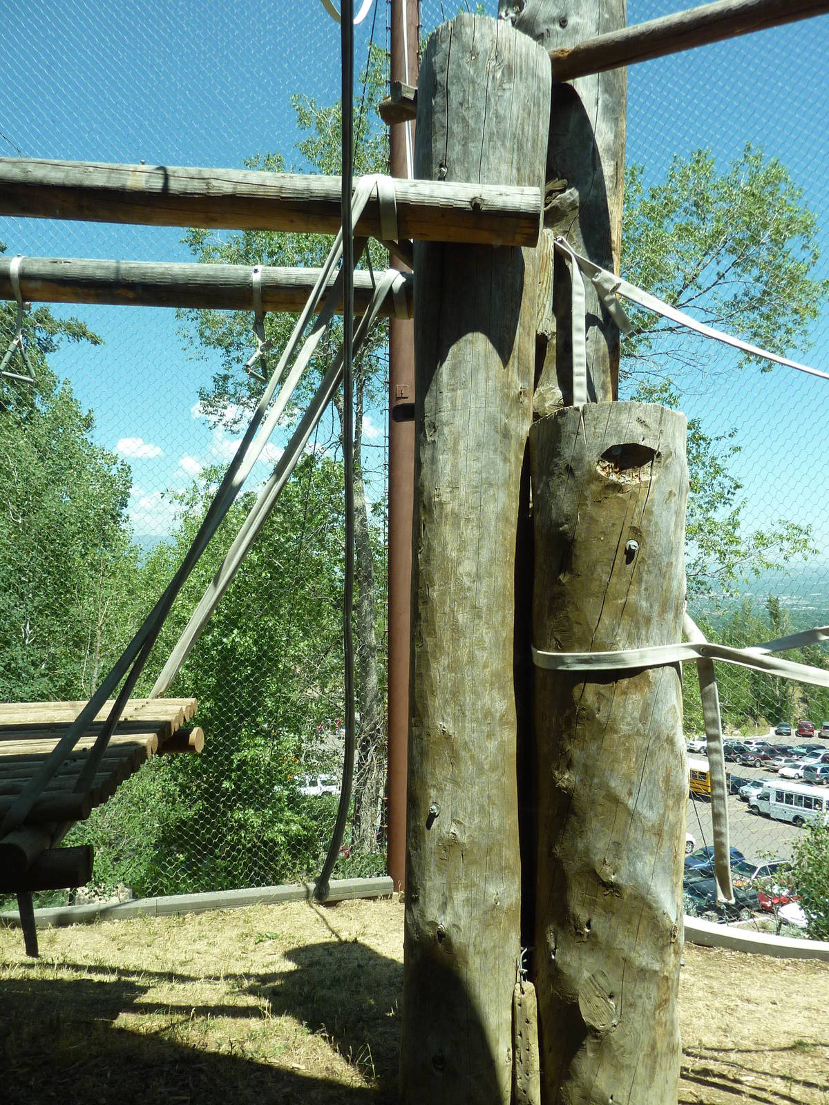 Orangutan Exhibit - Outdoor Area