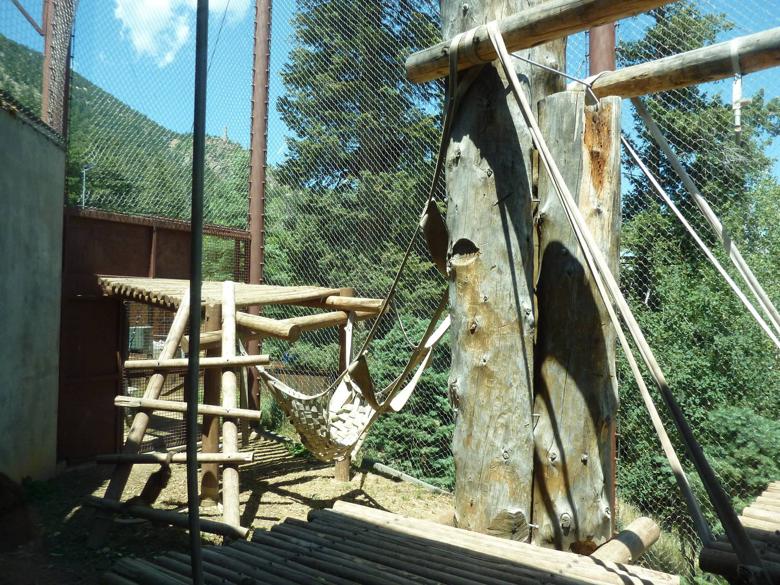 Orangutan Exhibit - Outdoor Area