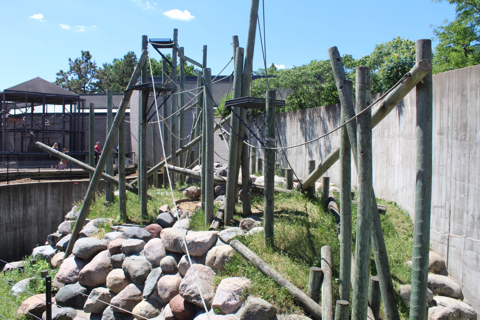 Orangutan Exhibit - Primate House