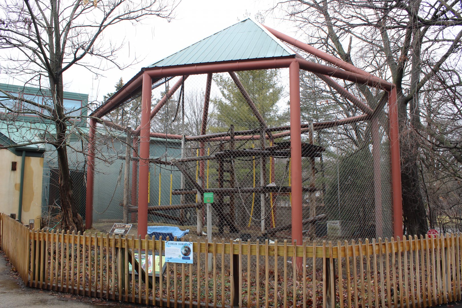 Orangutan Exhibit - Primate House