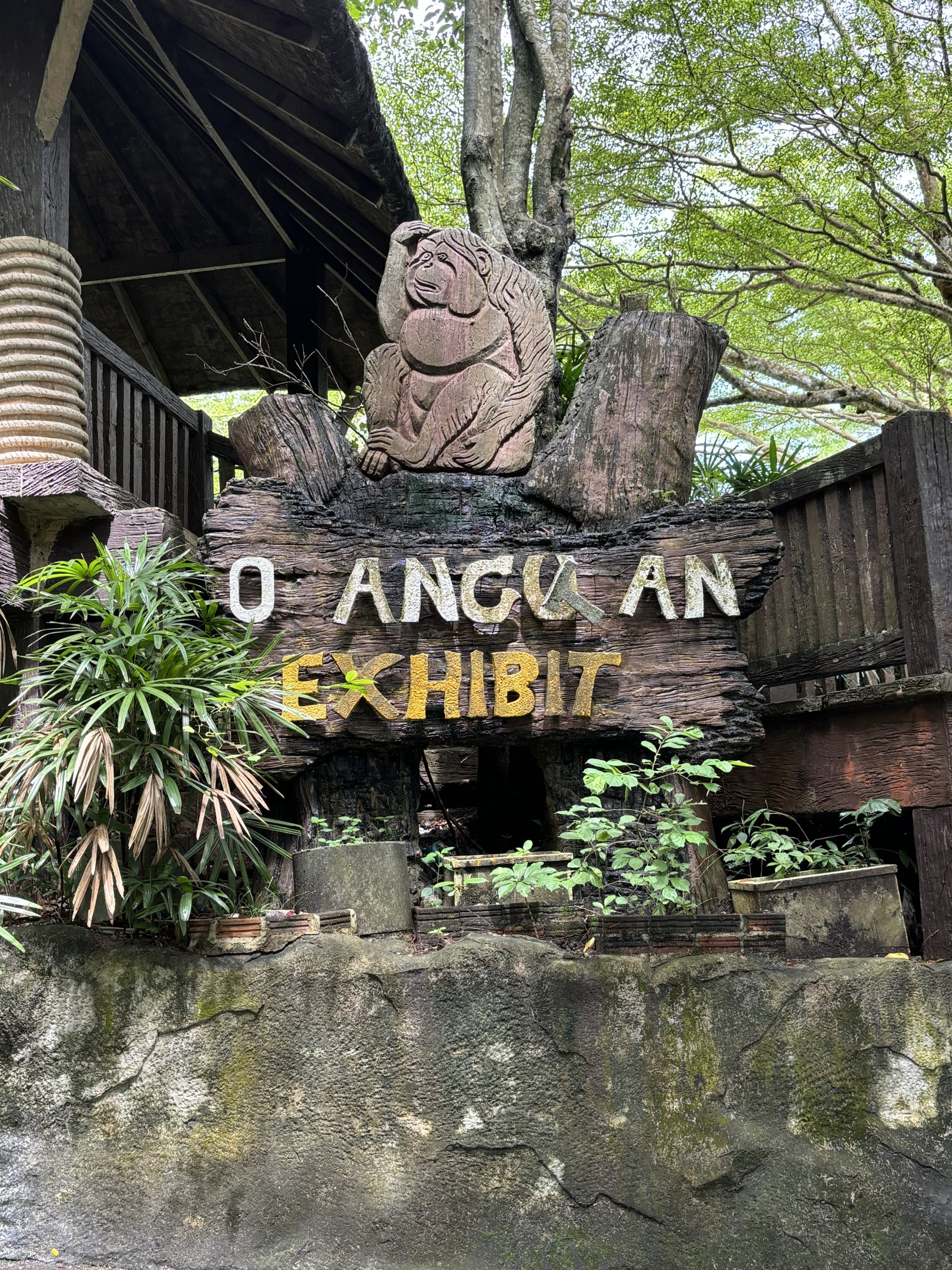 Orangutan Exhibit - sign