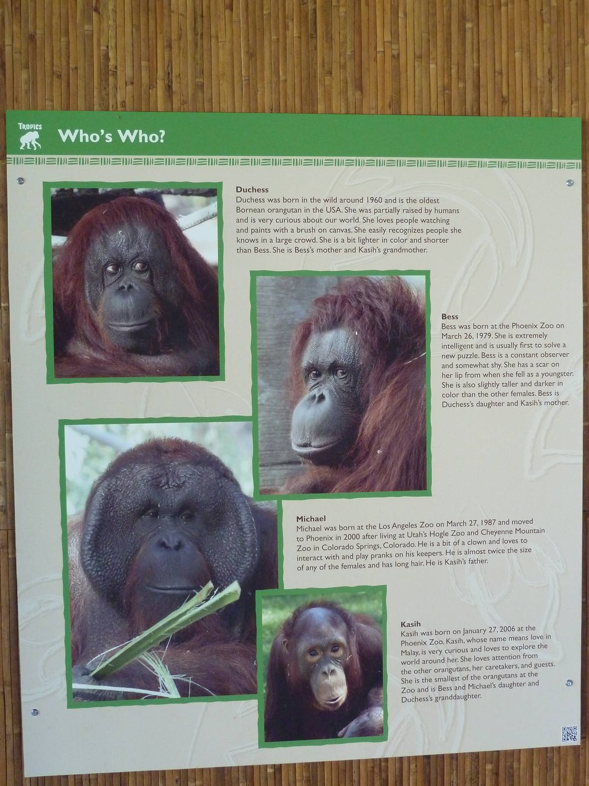 Orangutan Exhibit Signage - New In 2011