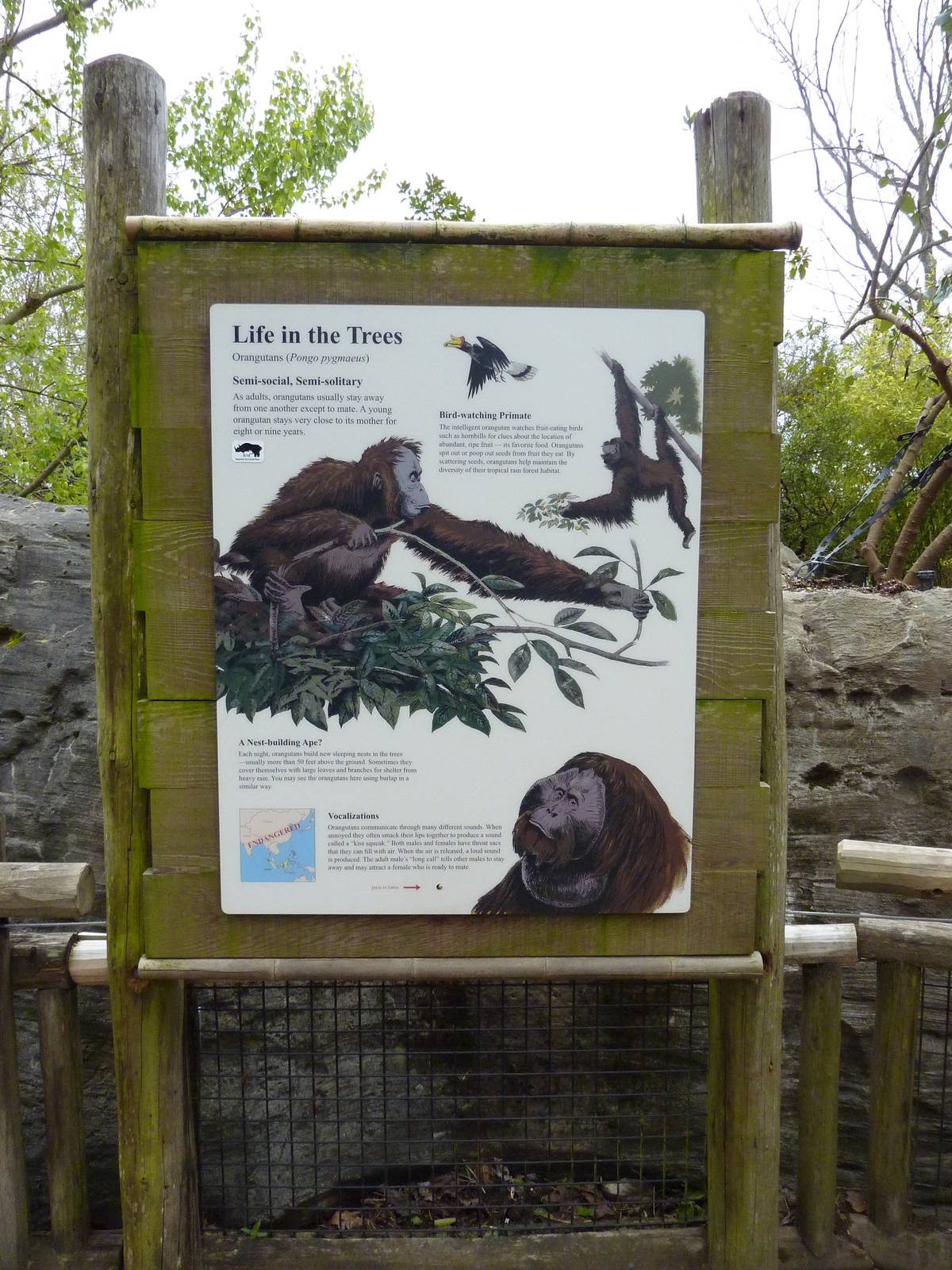 Orangutan Exhibit - Signage