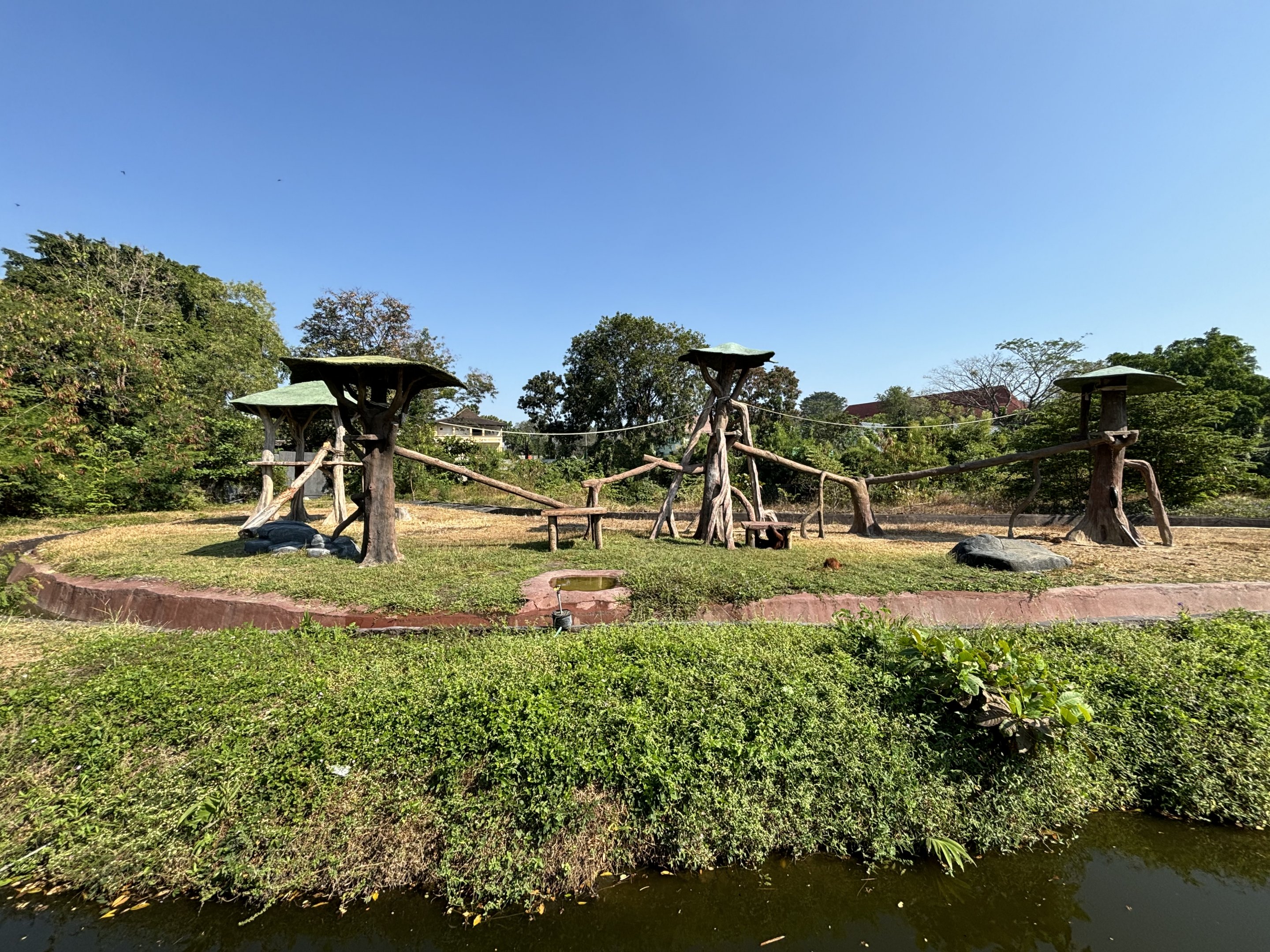 Orangutan Exhibit - Solo Safari