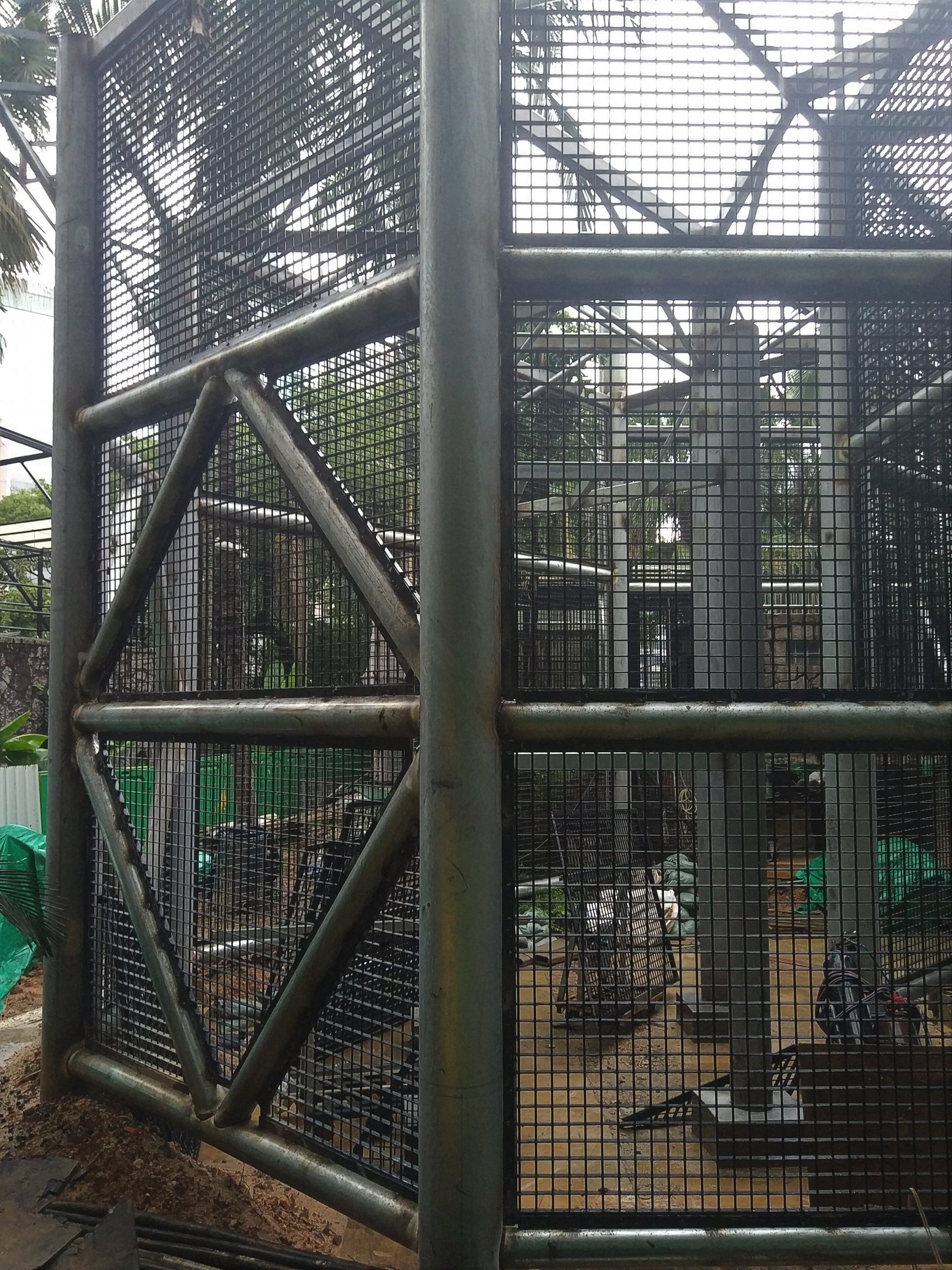 Orangutan Exhibit Under Construction