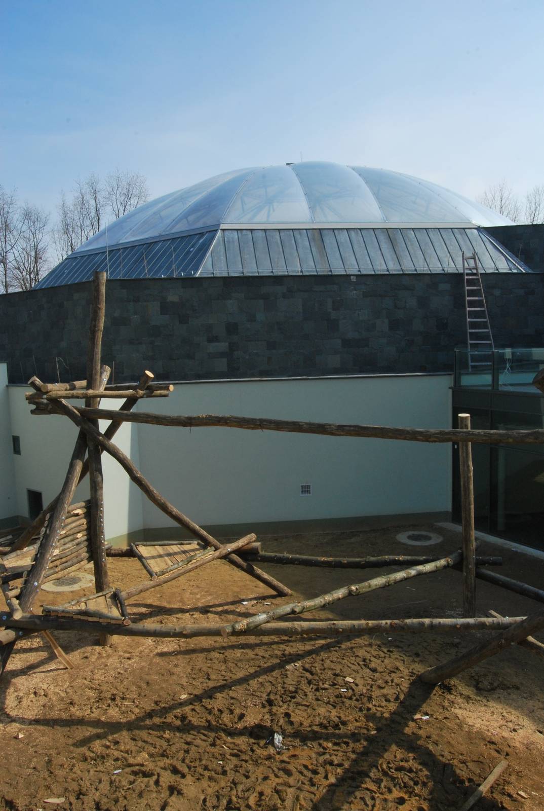 Orangutan exhibit - under construction