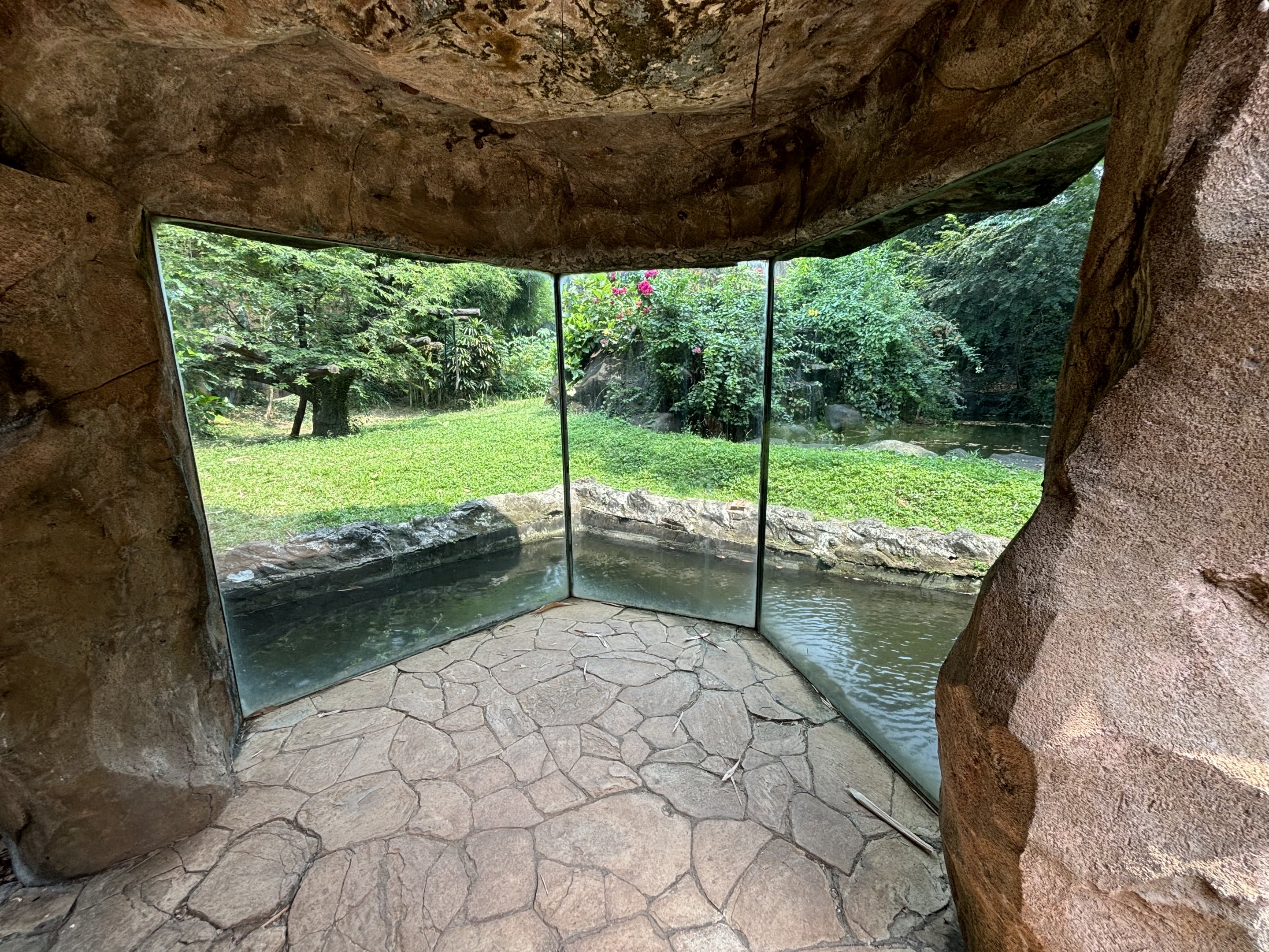 Orangutan Exhibit View #1