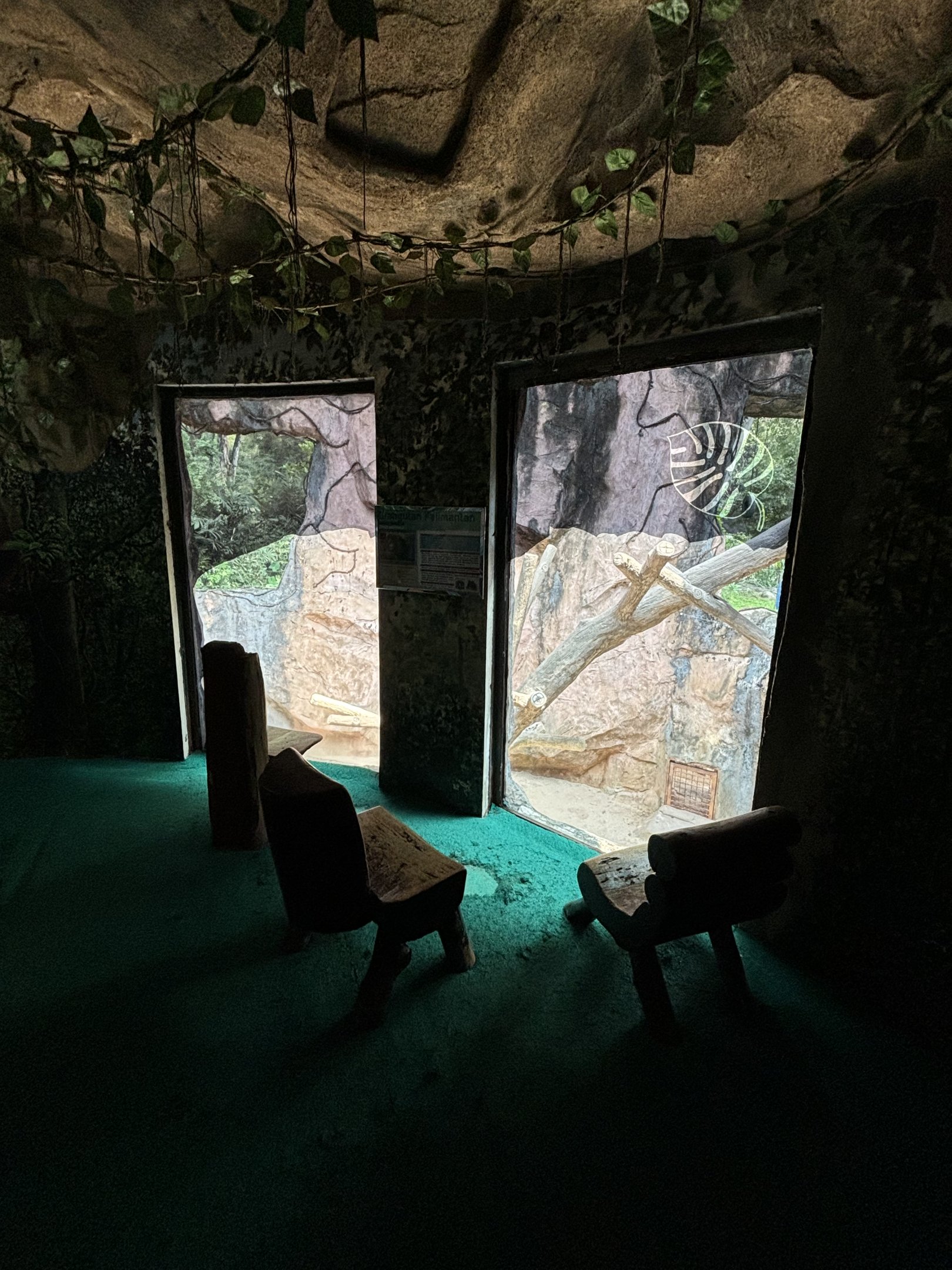 Orangutan Exhibit View #10