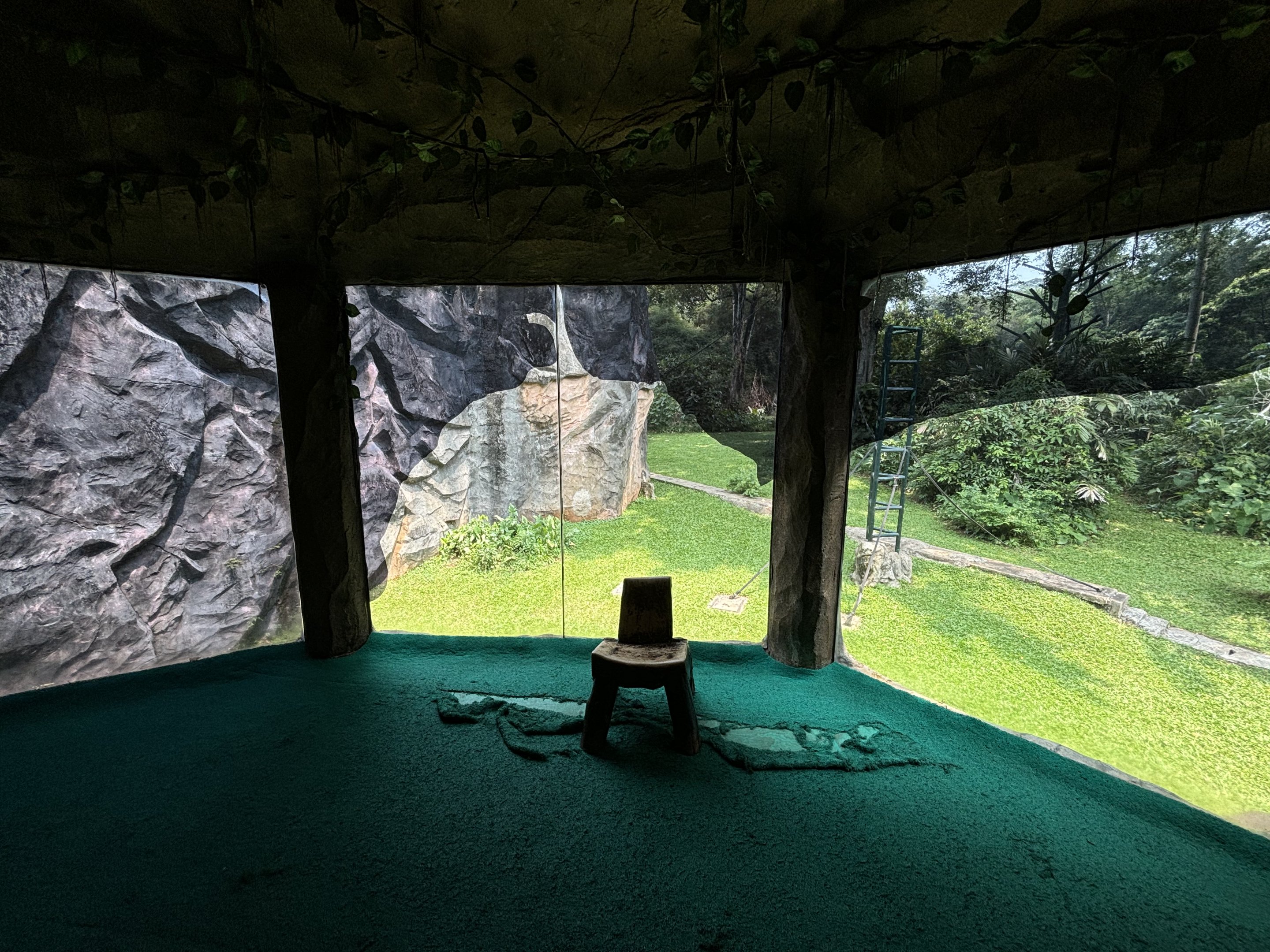 Orangutan Exhibit View #12