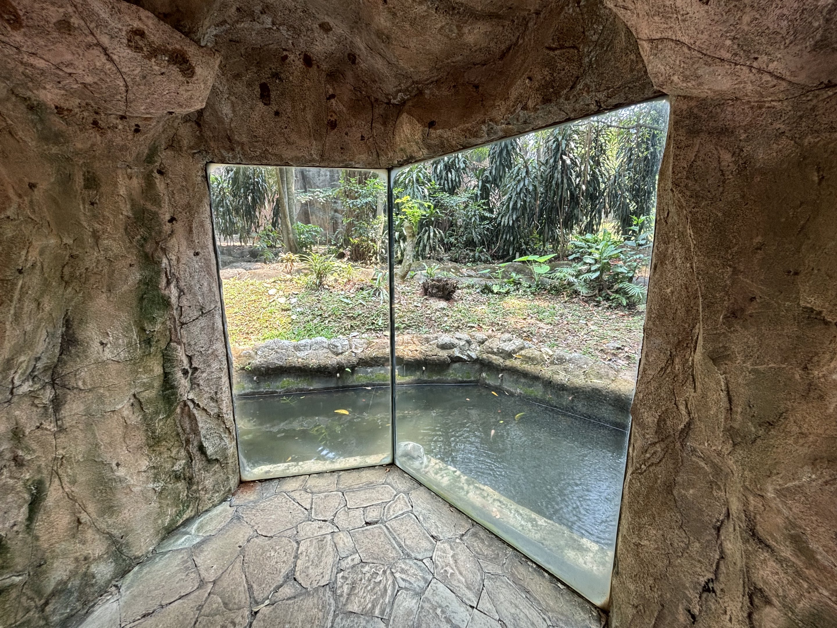 Orangutan Exhibit View #2