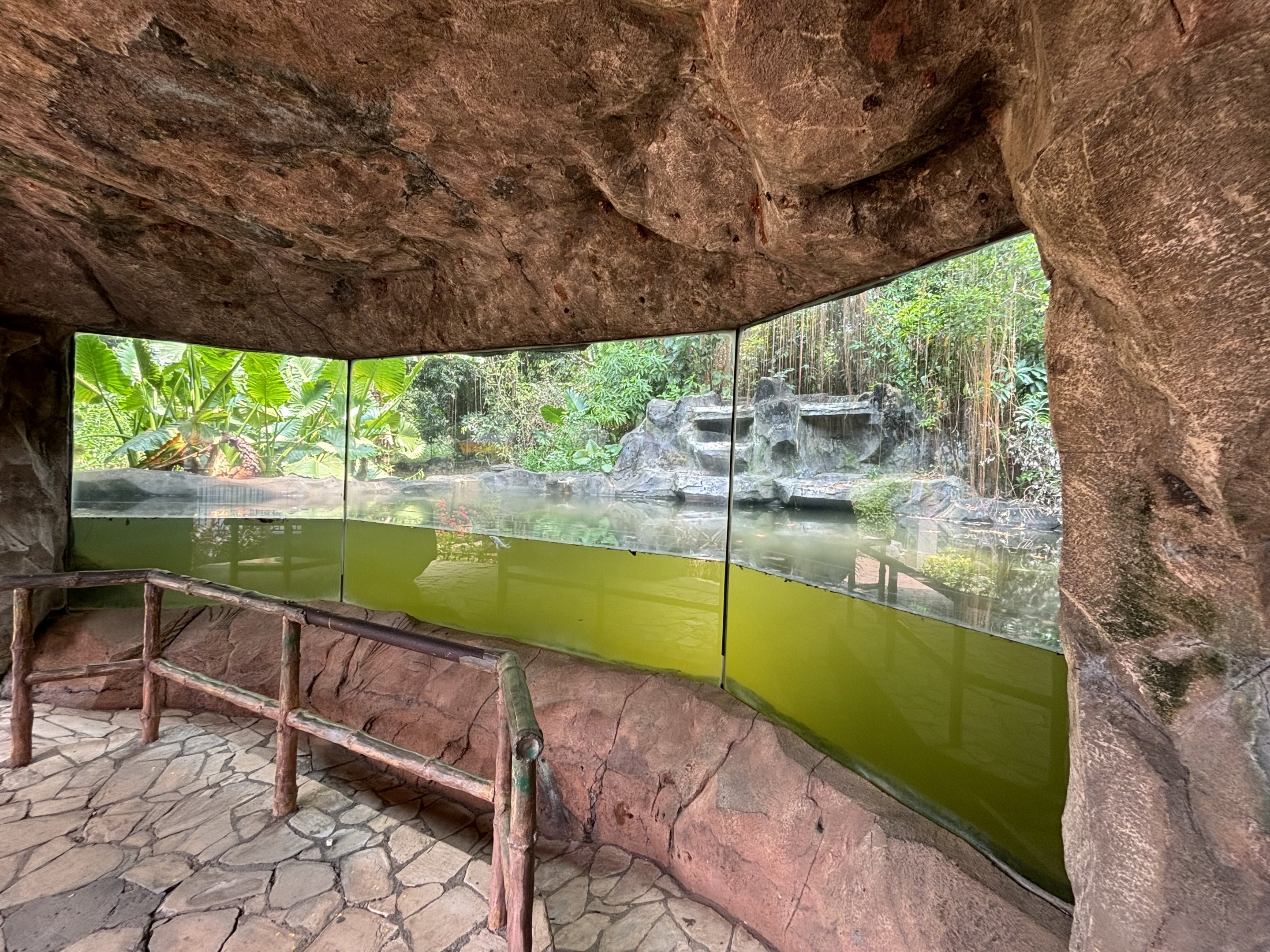 Orangutan Exhibit View #4