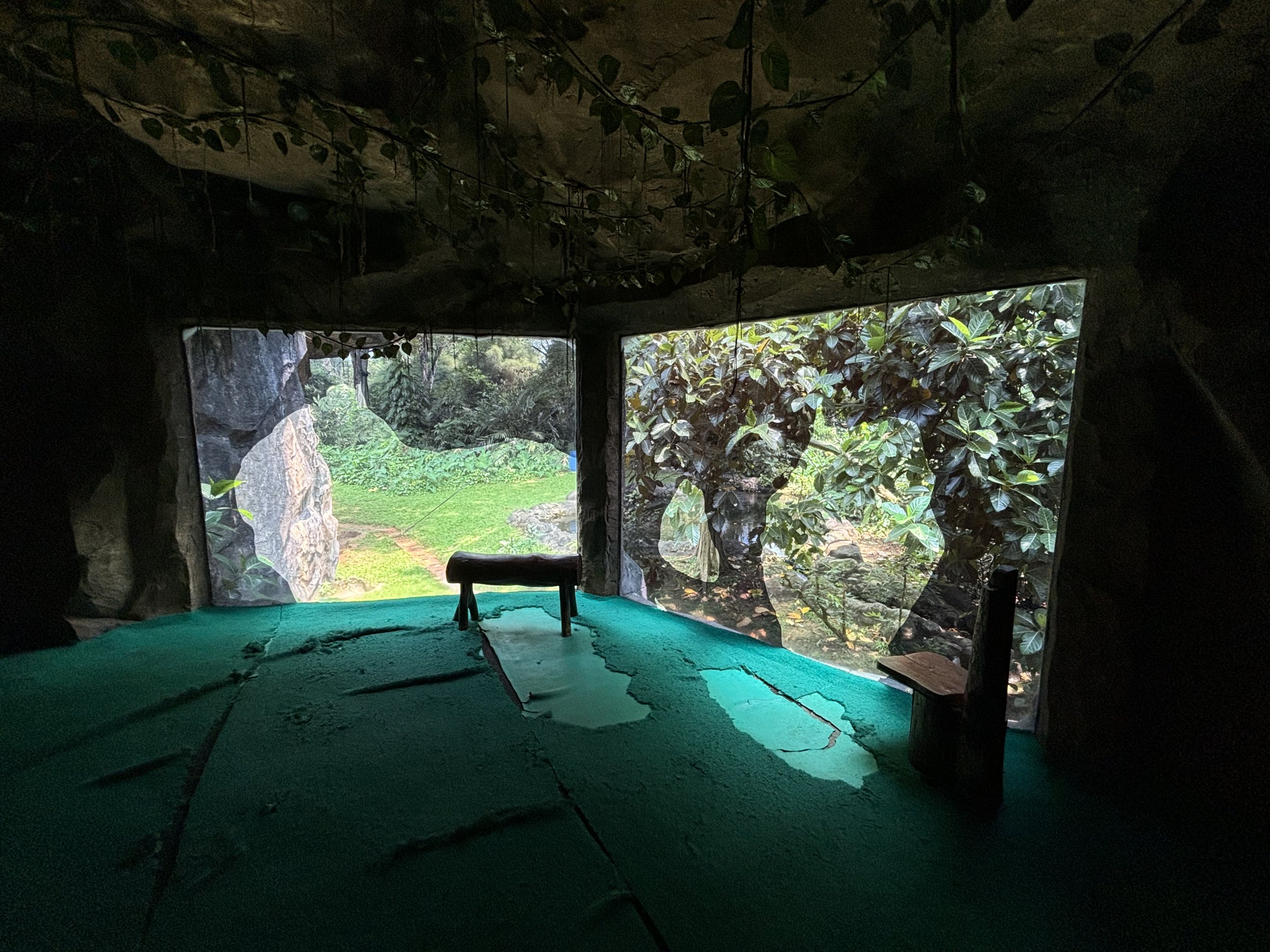 Orangutan Exhibit View #9