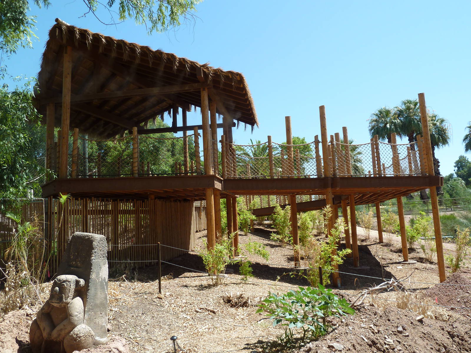 Orangutan Exhibit - Viewing Platform