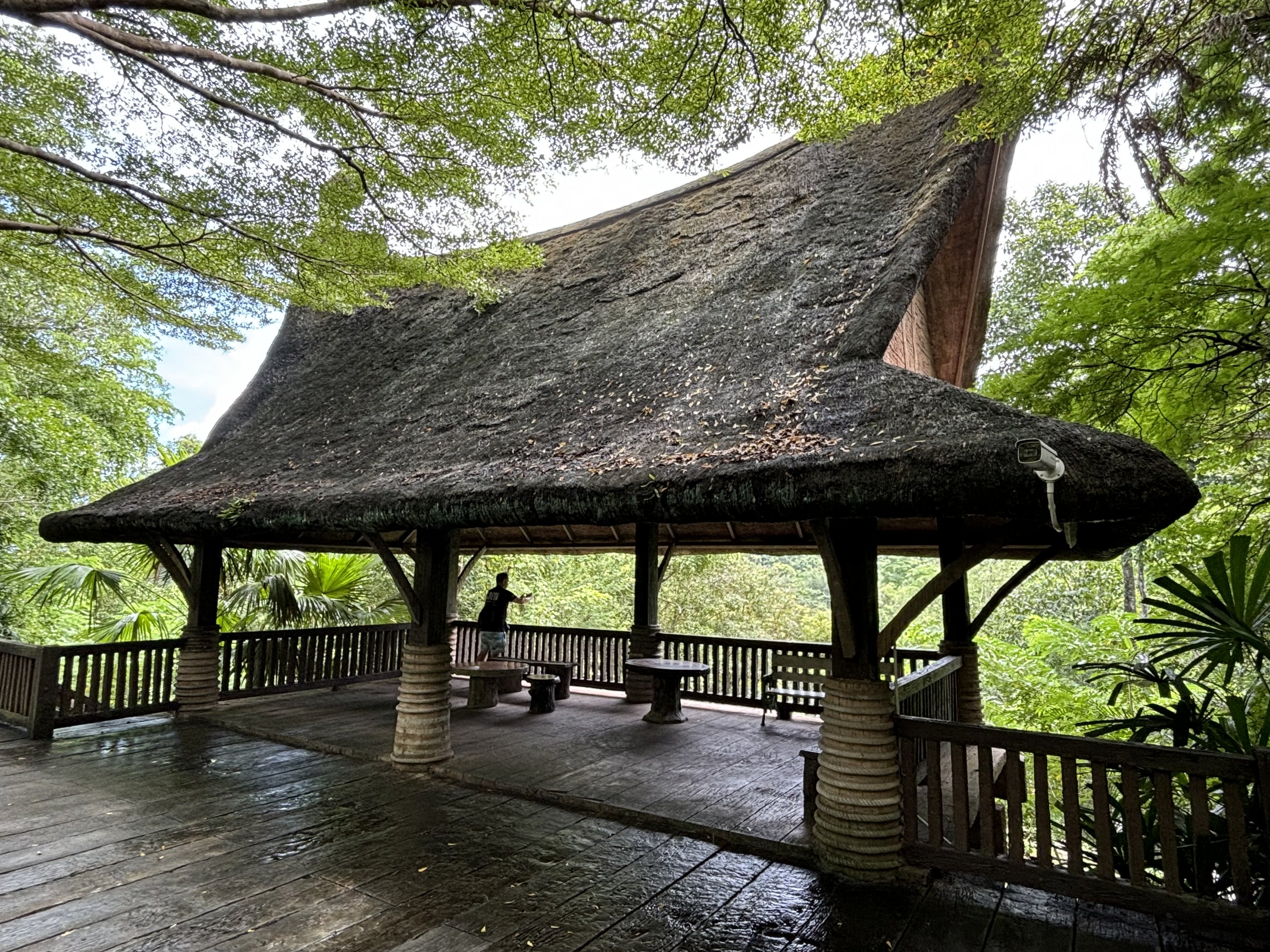 Orangutan Exhibit - viewing platform