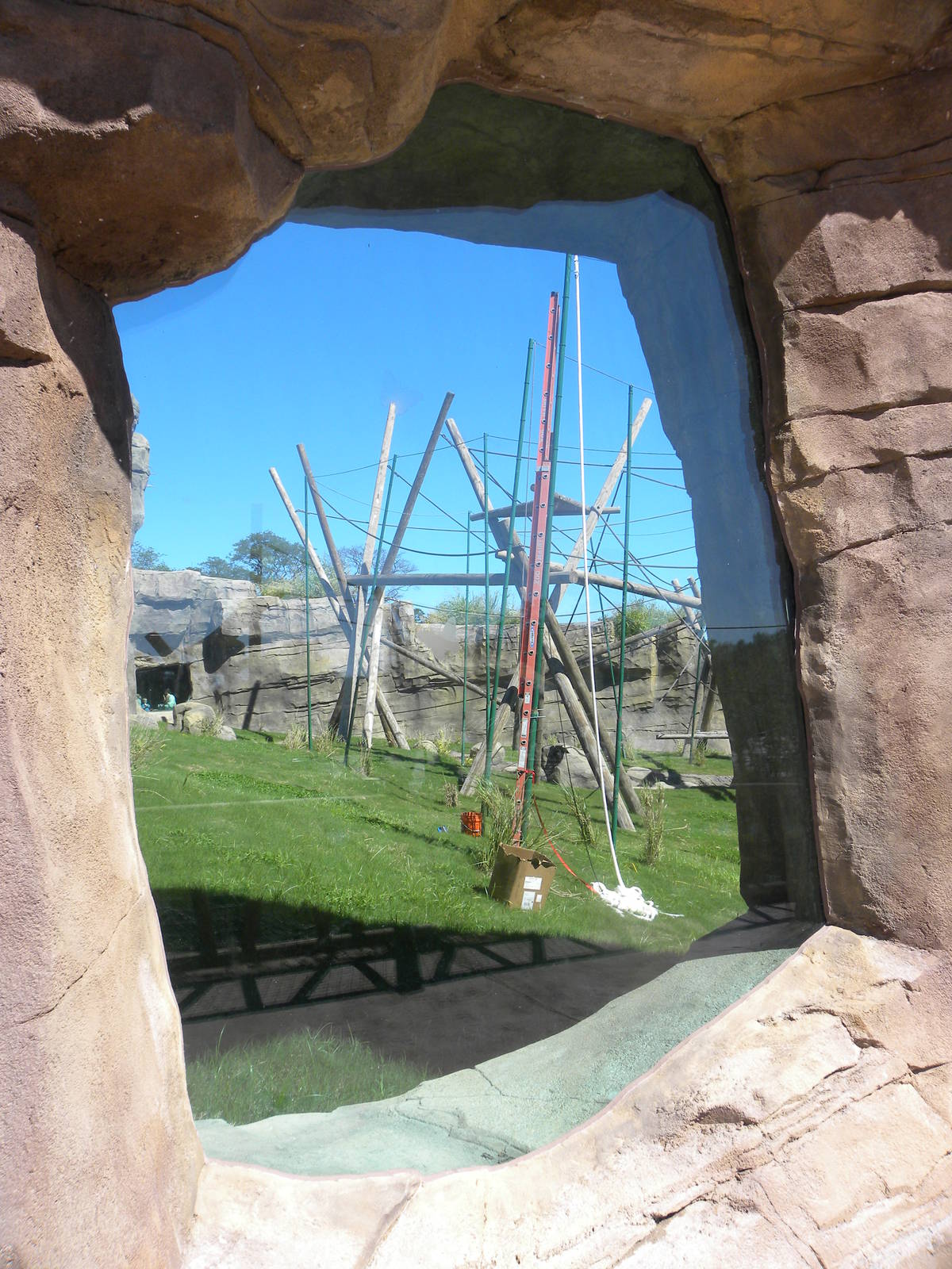 Orangutan Exhibit
