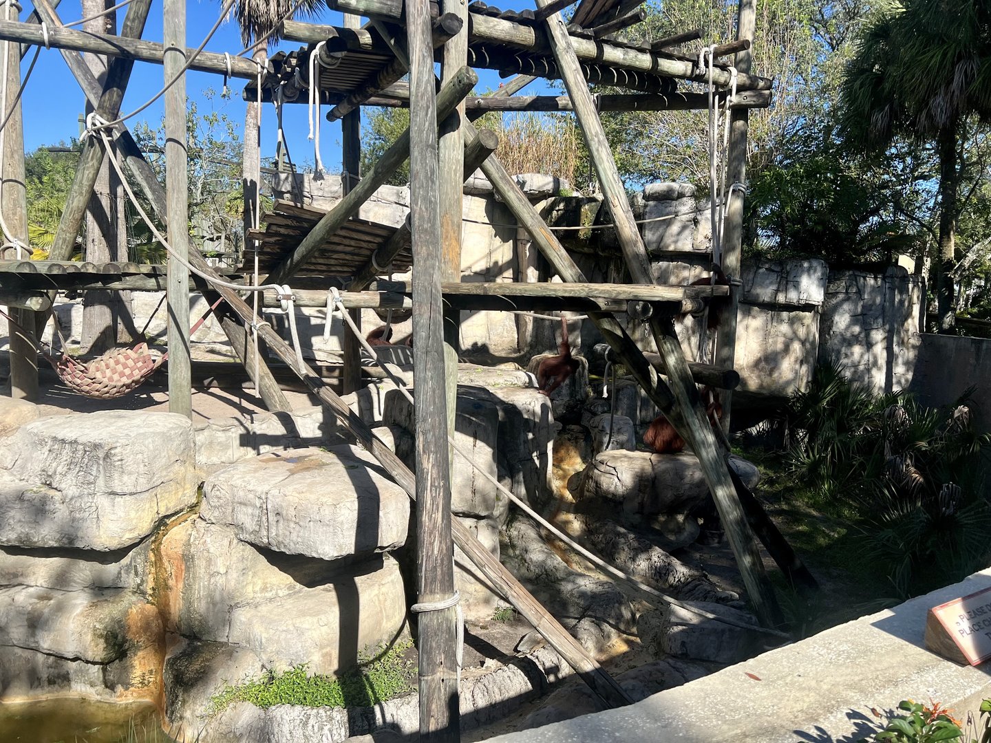Orangutan Exhibit