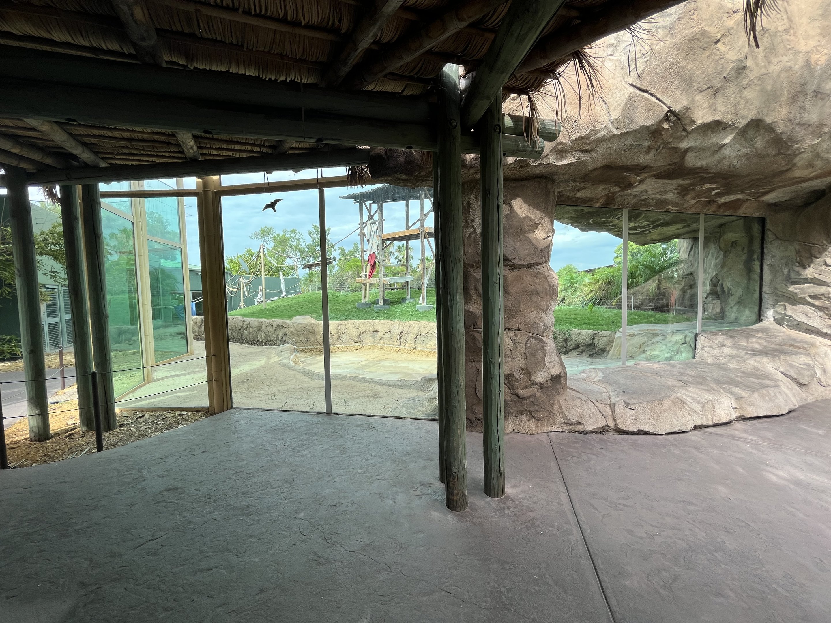 Orangutan Exhibit