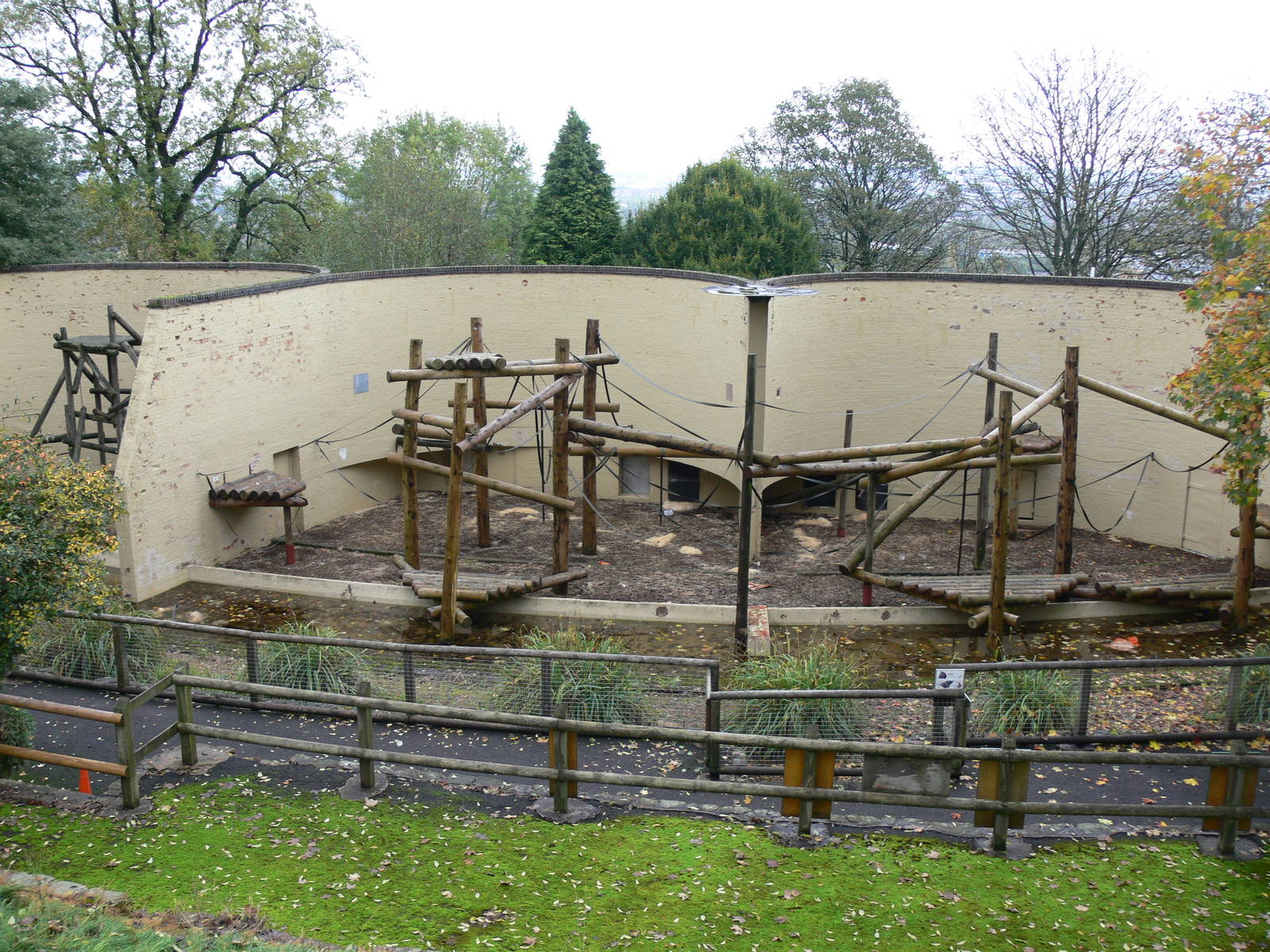 Orangutan exhibits at Dudley, 02/11/13