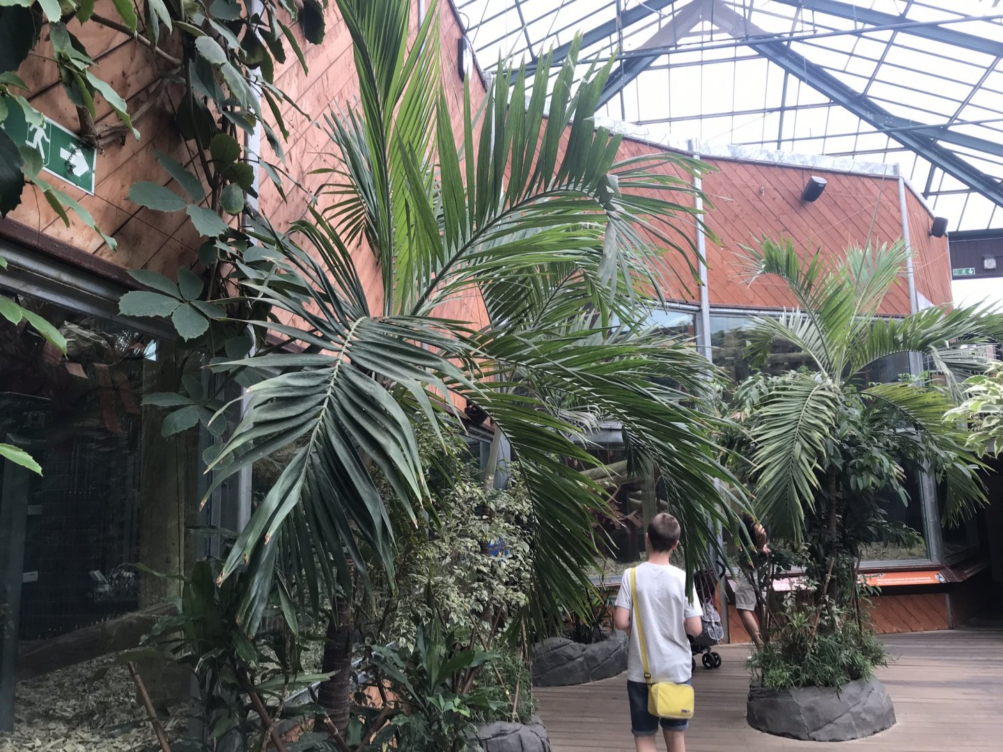 Orangutan Forest interior view 050819