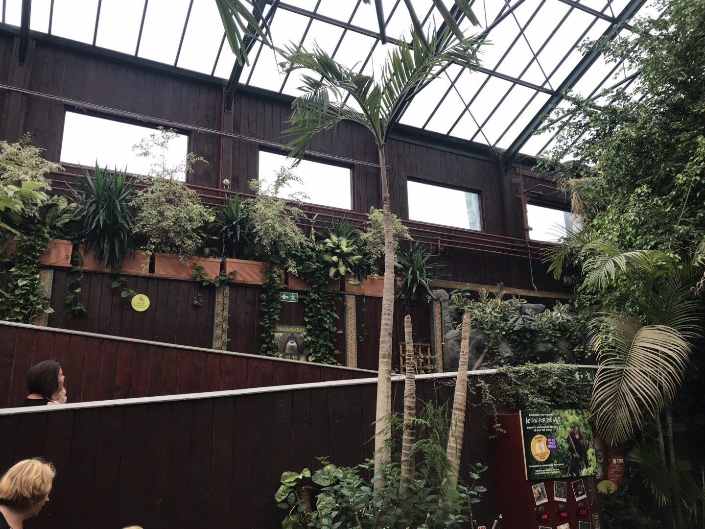 Orangutan Forest interior view 050819