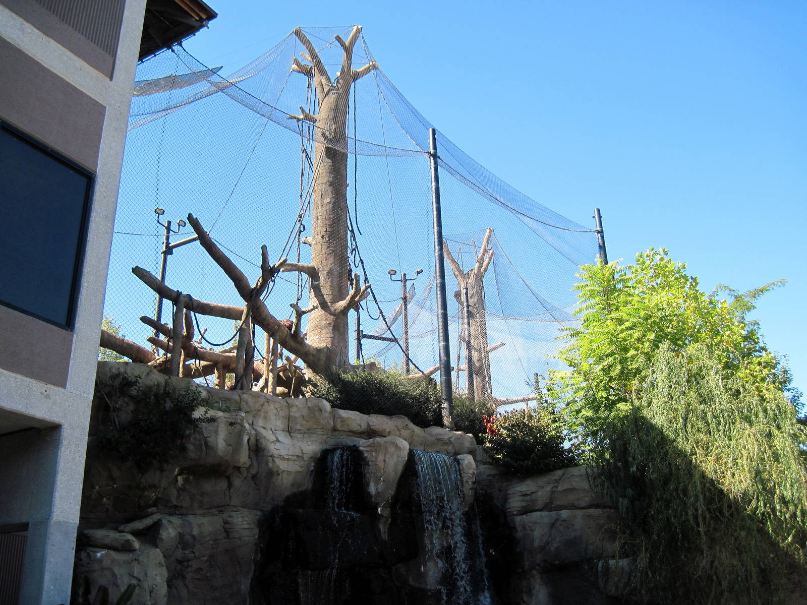 Orangutan Forest-Orangutan Exhibit