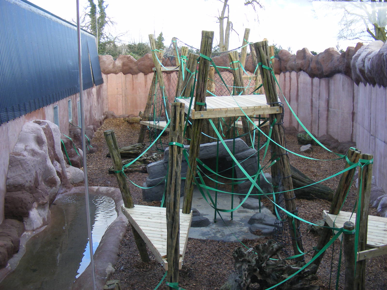 Orangutan Forest outdoor exhibit at Colchester Zoo, 14 February 2009