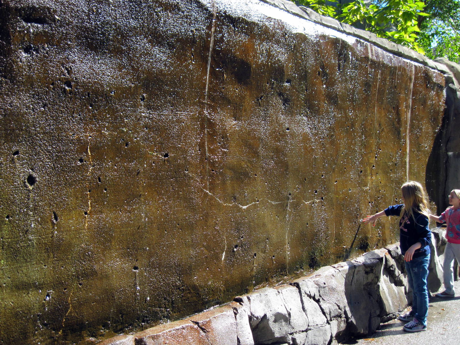 Orangutan Forest-Waterfall