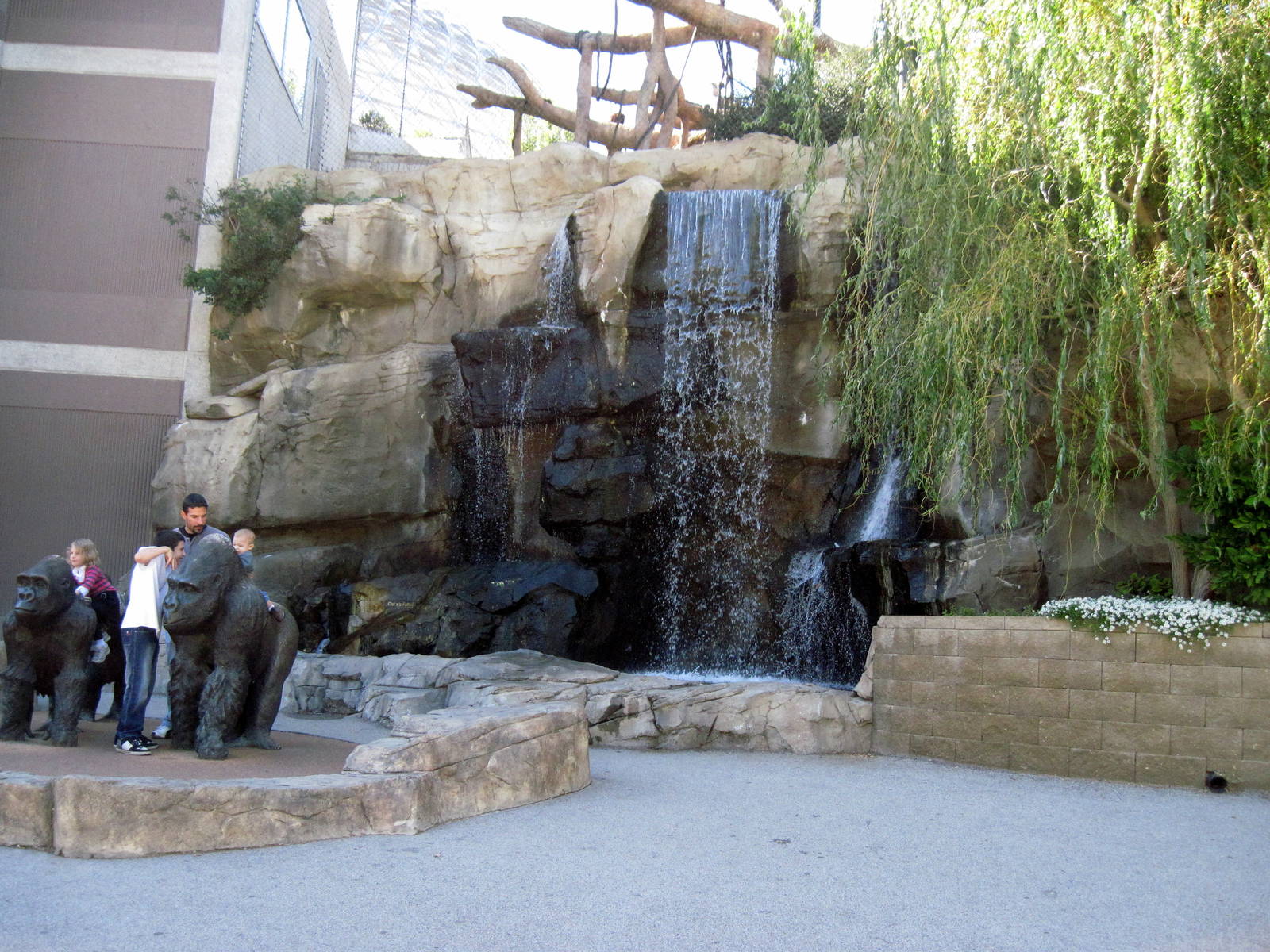 Orangutan Forest-Waterfall