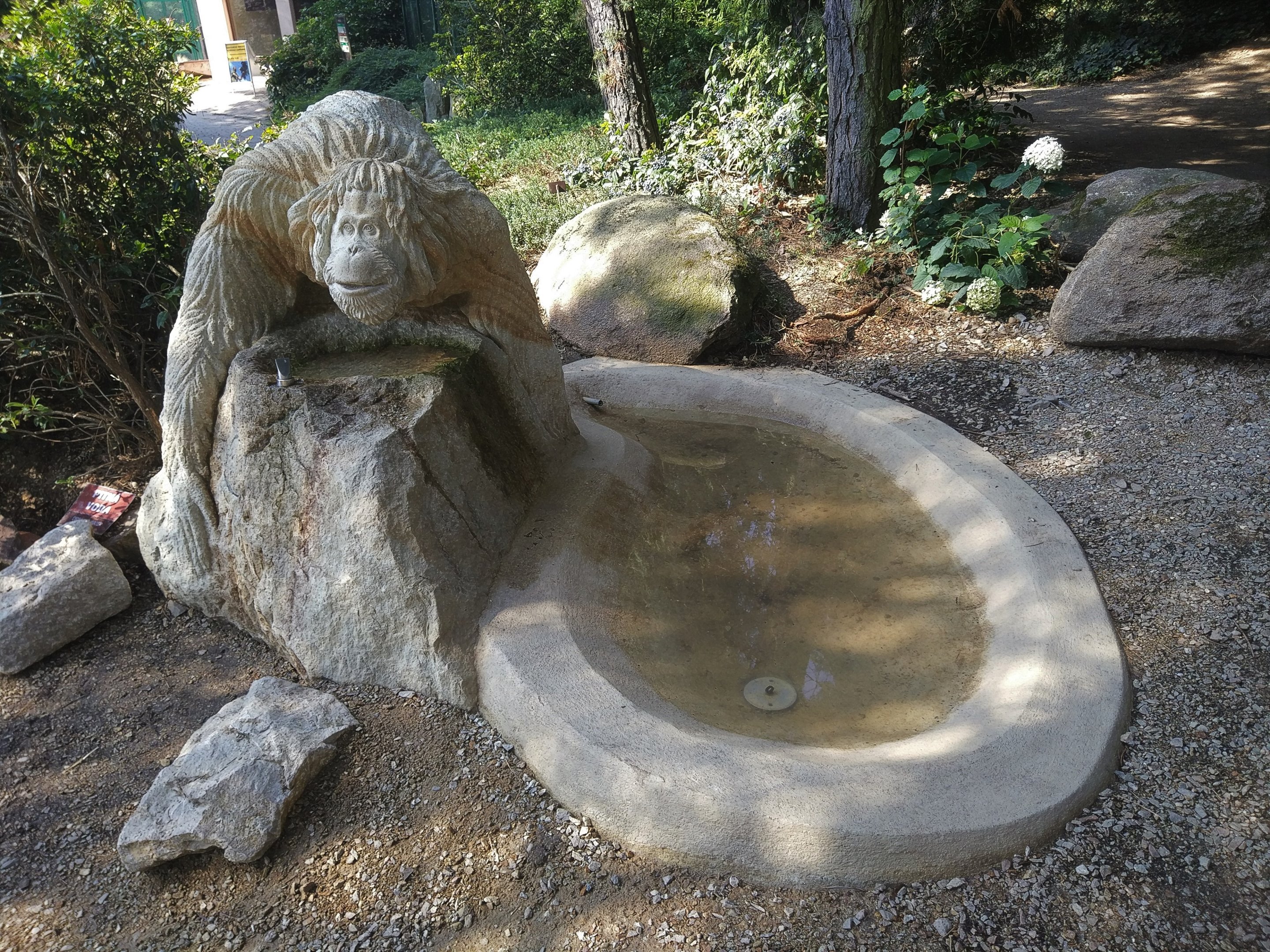 Orangutan Fountain