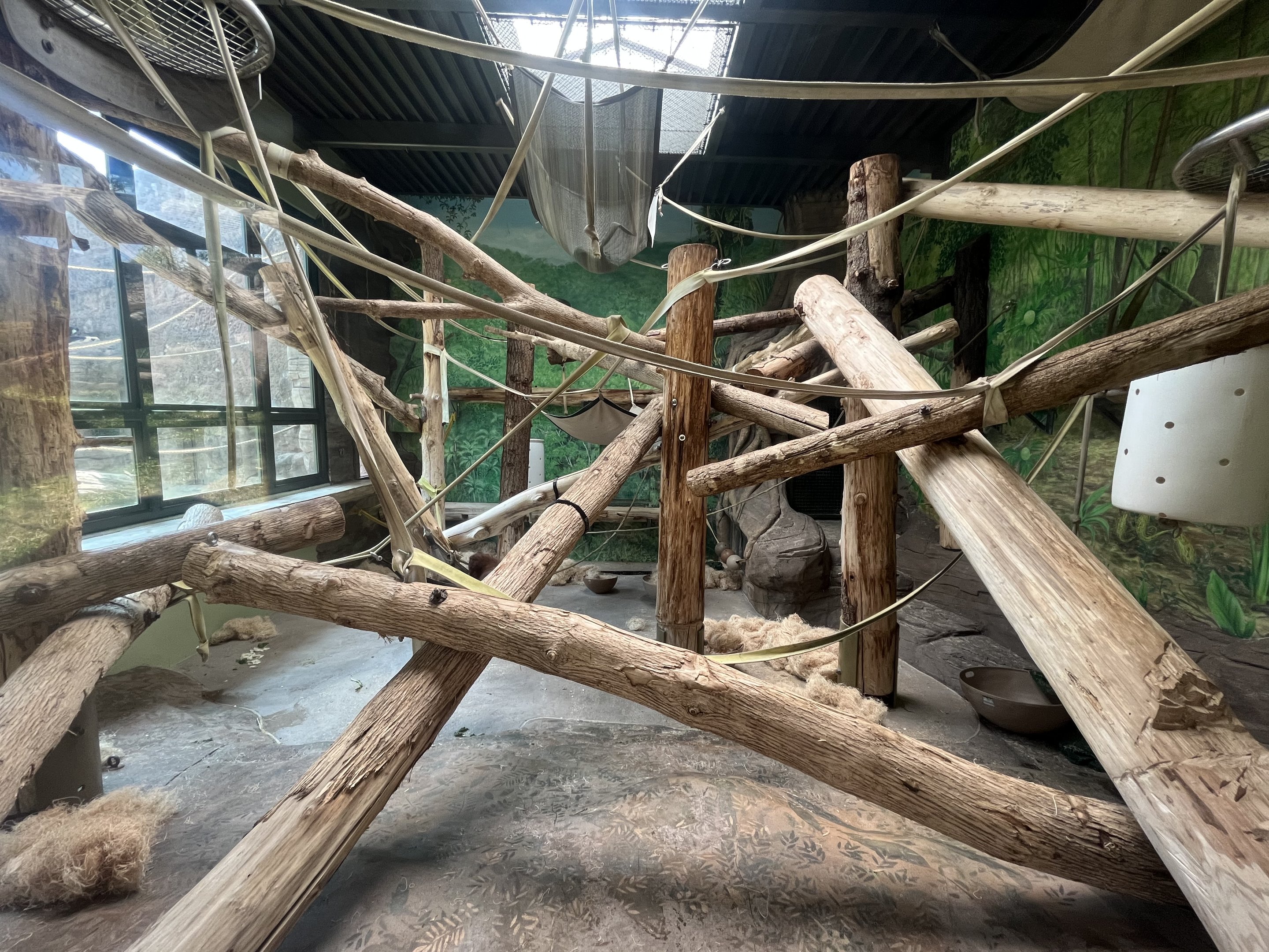 Orangutan/Gibbon Exhibit