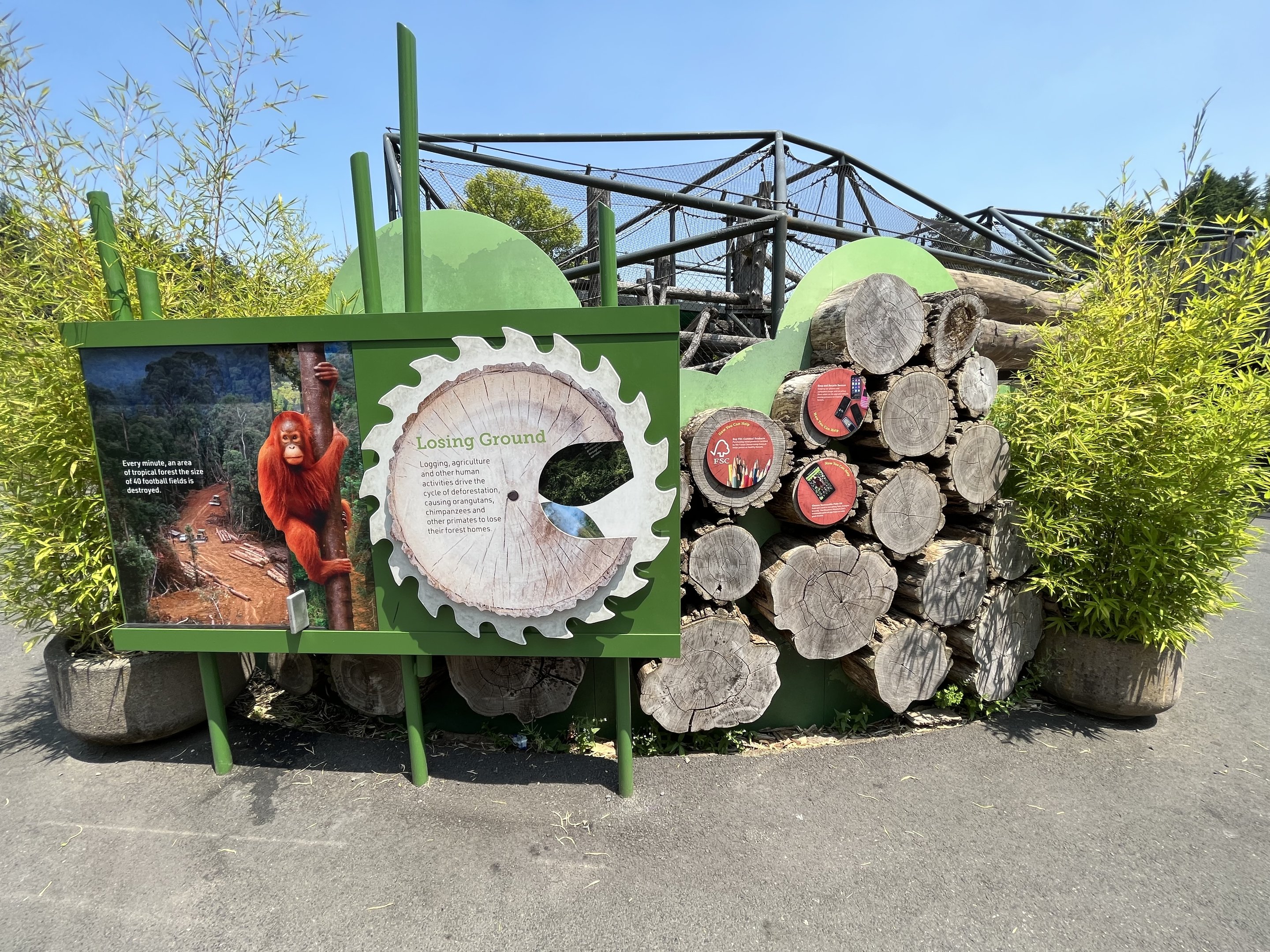 Orangutan/Gibbon Exhibit