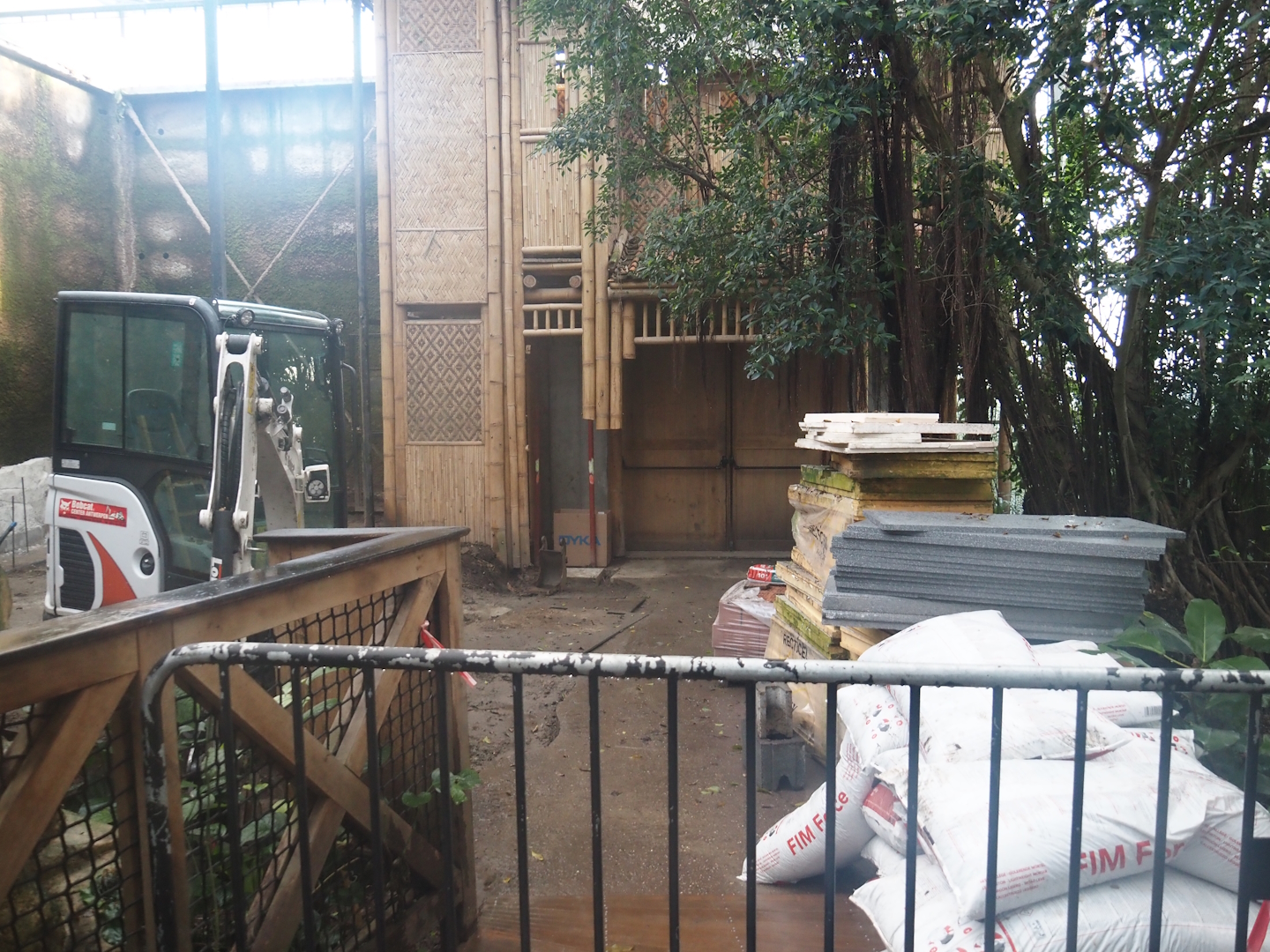 Orangutan greenhouse - Asian pigeon and Vietnam pheasant aviary being renovated, 2025-02-02