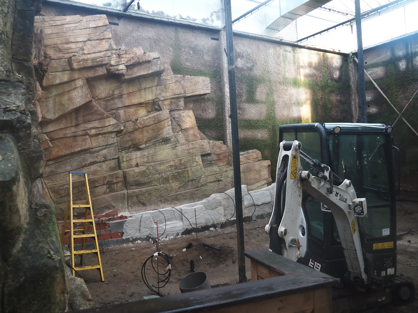 Orangutan greenhouse - Asian pigeon and Vietnam pheasant aviary being renovated, 2025-02-02