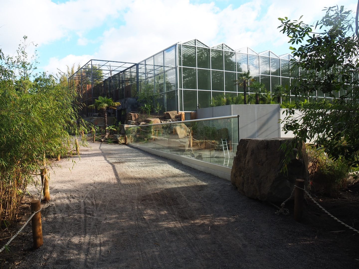 Orangutan greenhouse with future aviary and viewing area for orangutan/gibbon island and ASCO land area, 2022-07-16