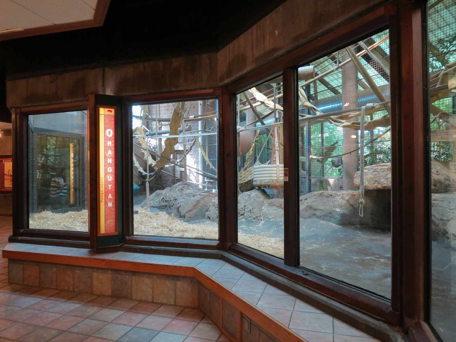 Orangutan Habitat - Indoor Bedroom View
