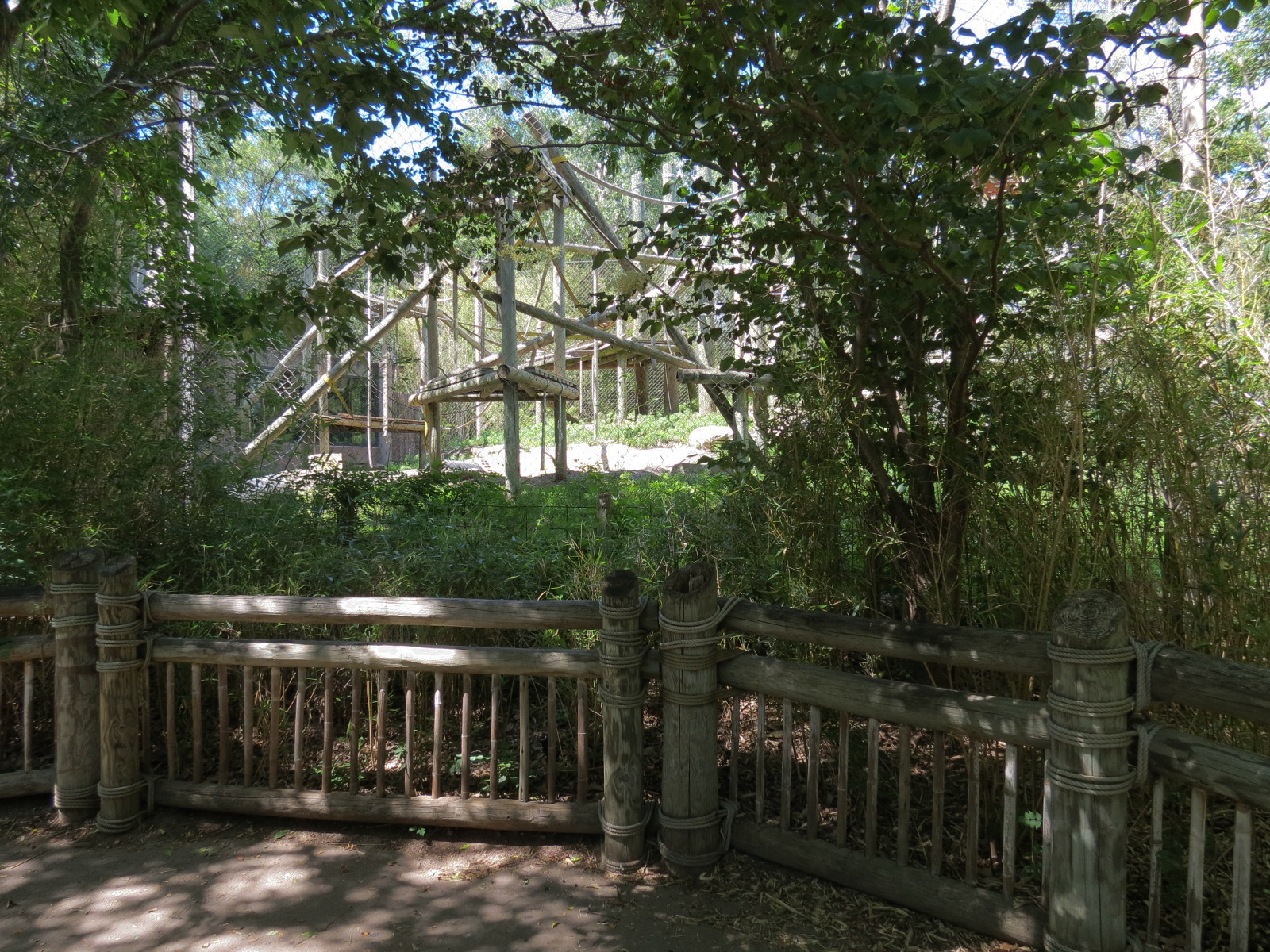 Orangutan Habitat - Viewing Area