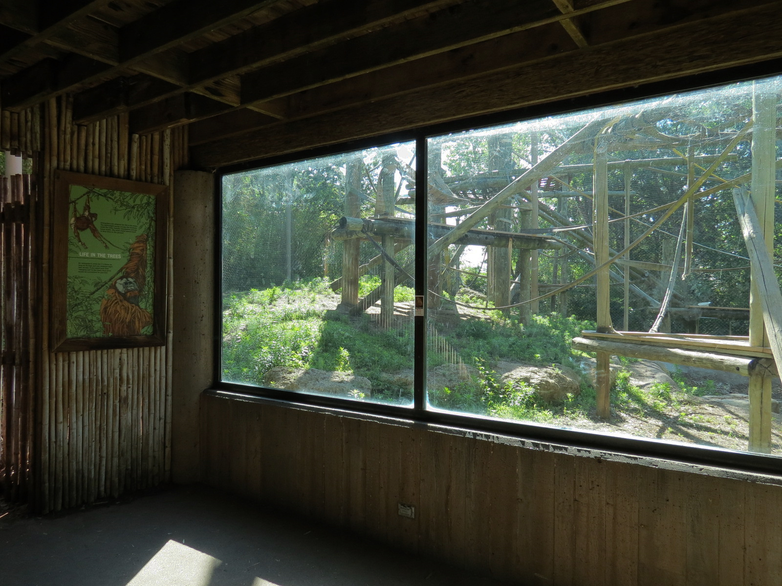 Orangutan Habitat - Viewing Shelter