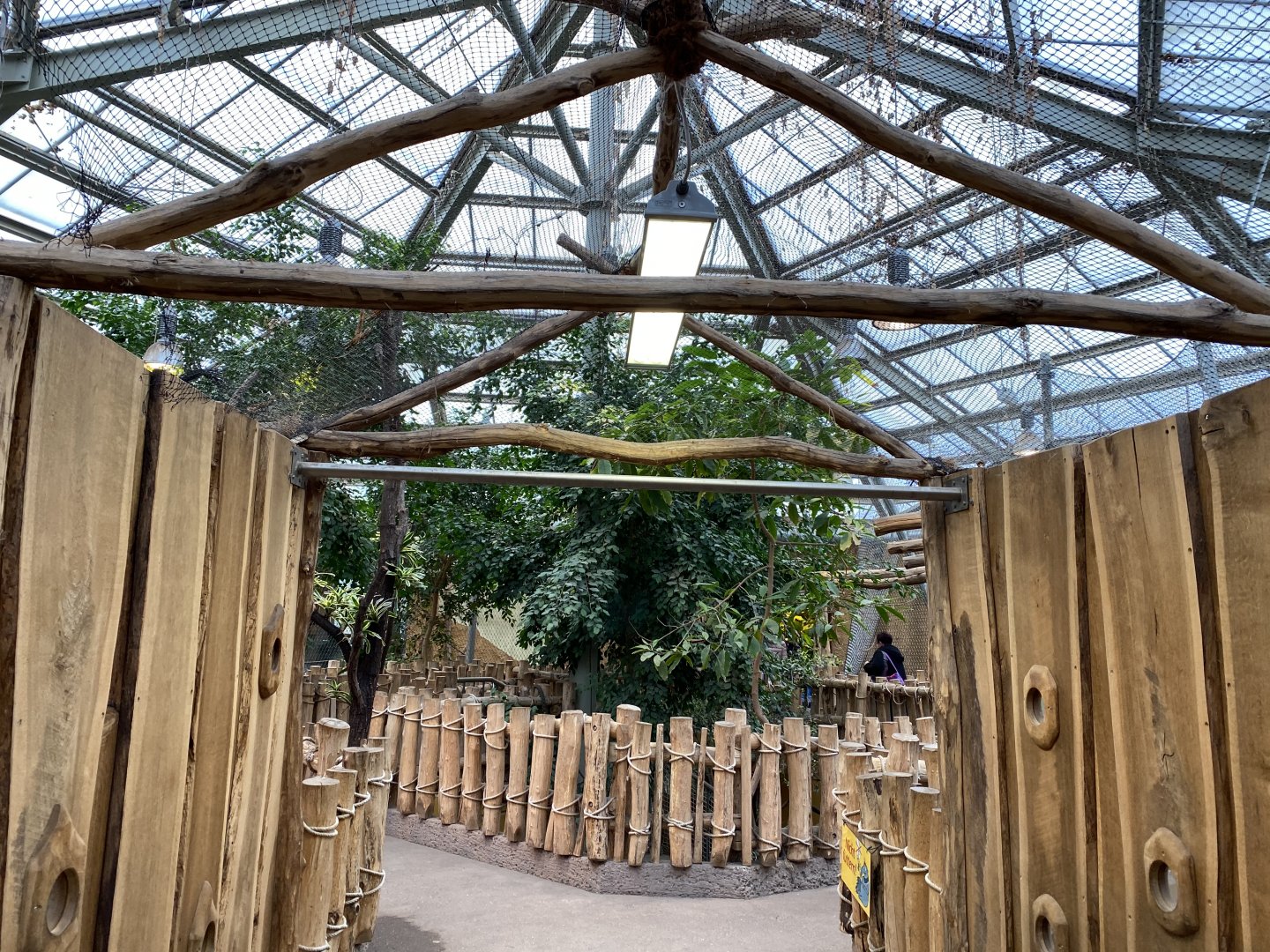 Orangutan House indoors 021219