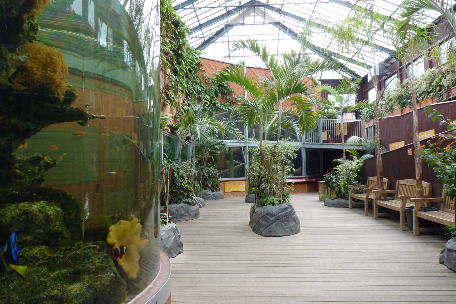 Orangutan house interior, September 2016