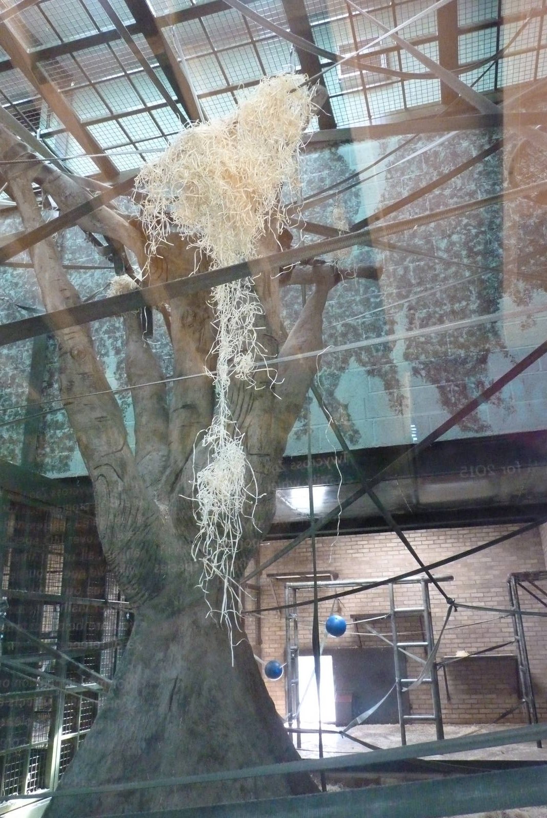 Orangutan house interior, September 2016