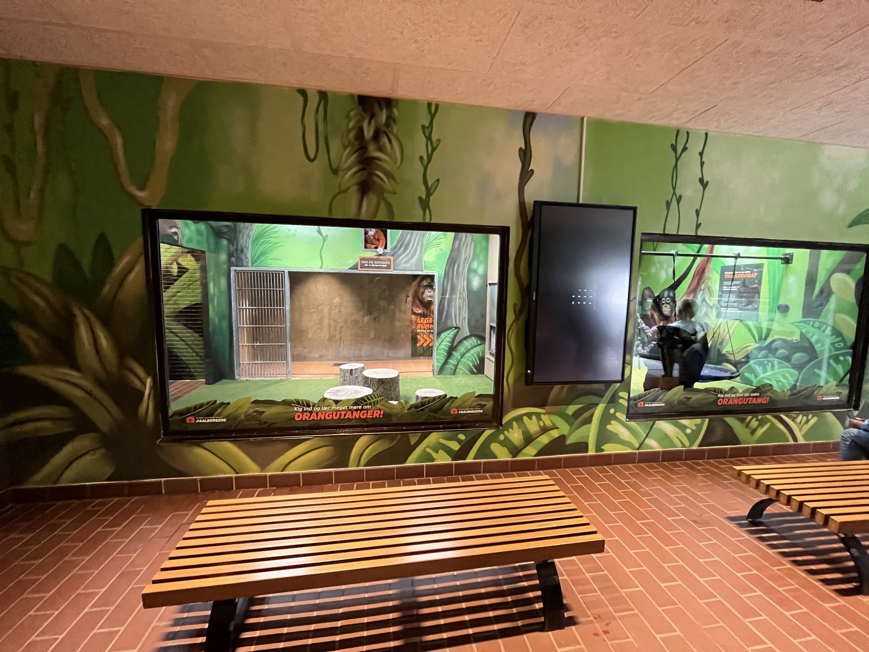 Orangutan House - kid’s play area!