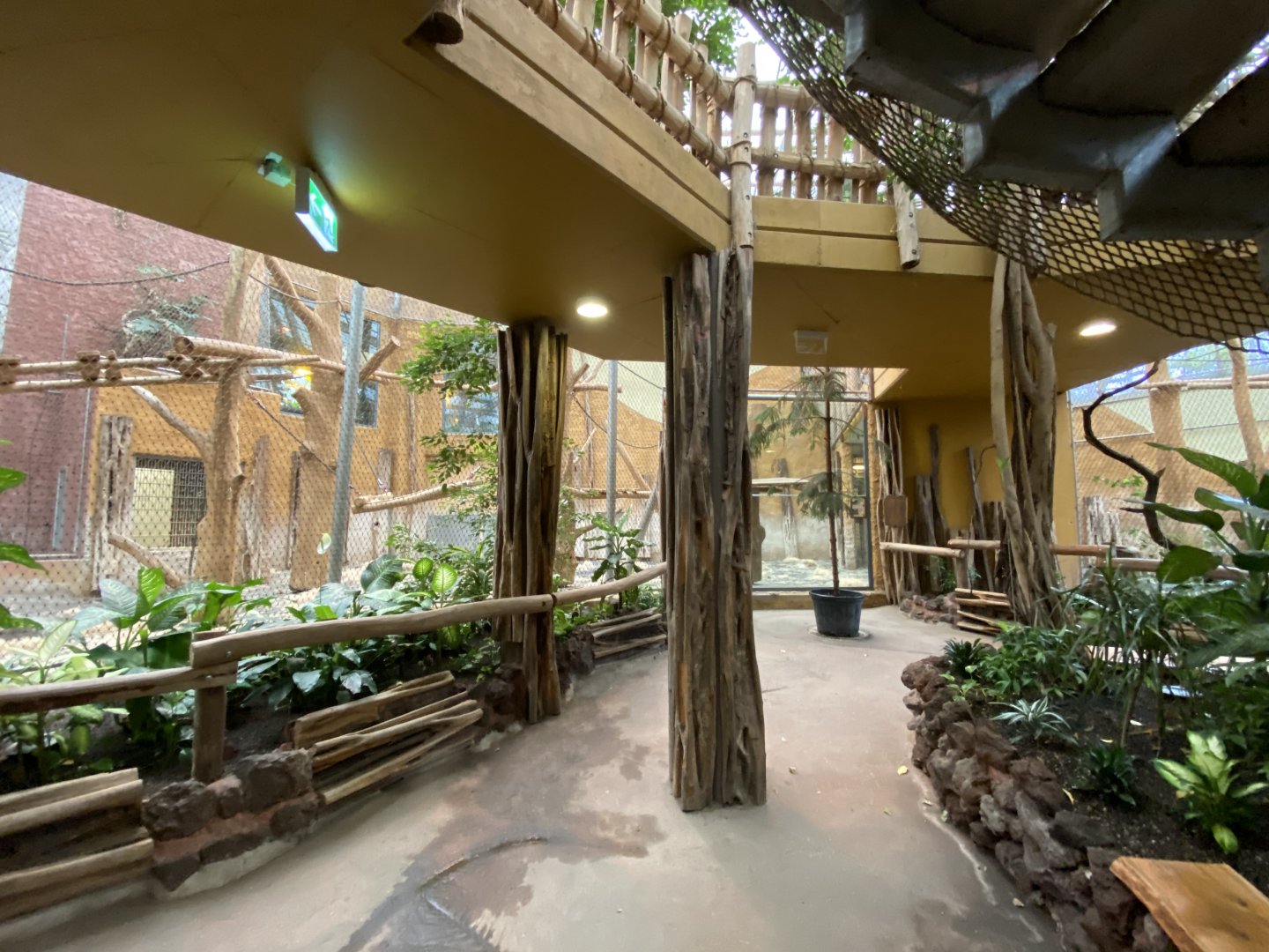 Orangutan House lower level 021219