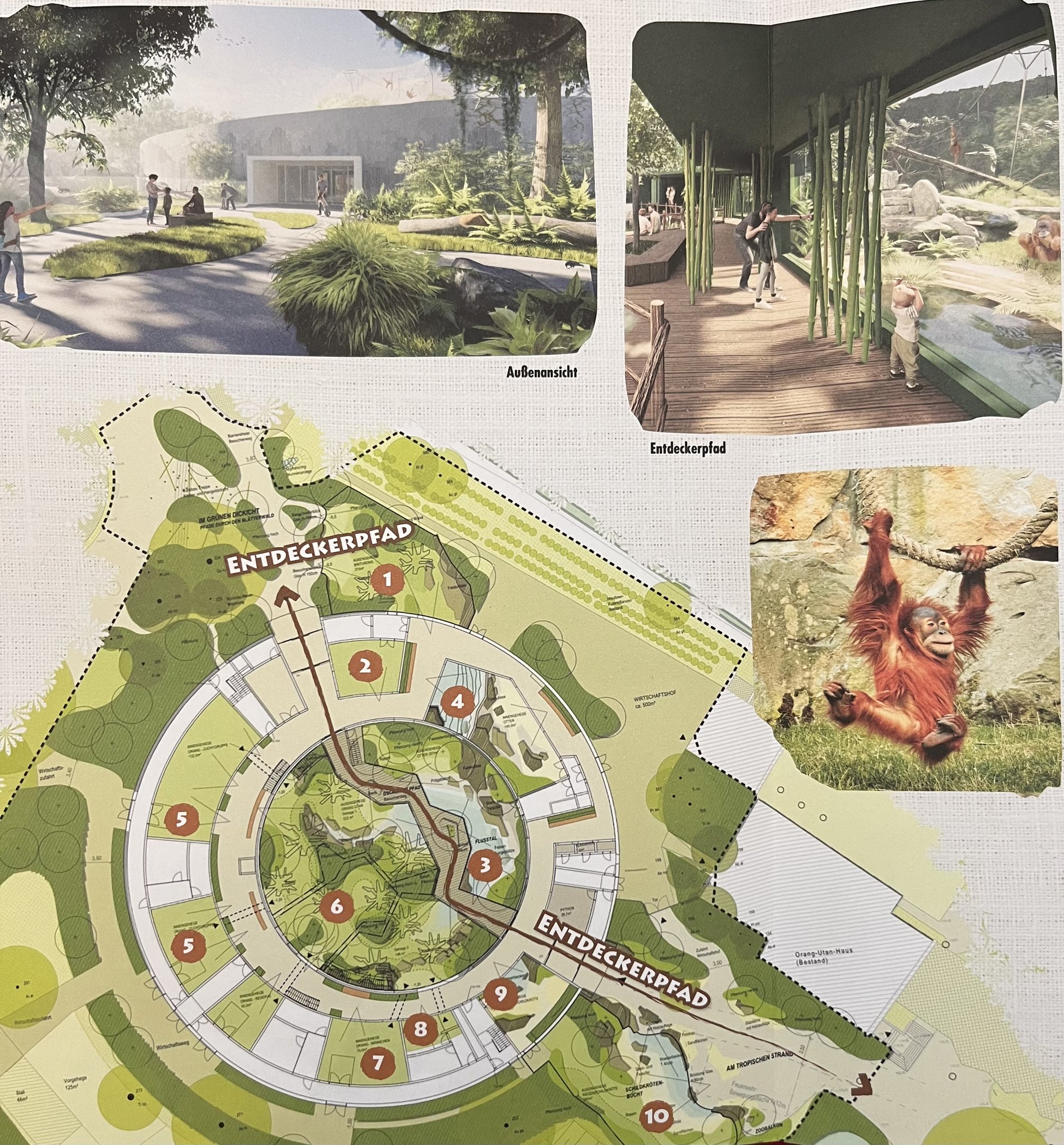 Orangutan House - Map