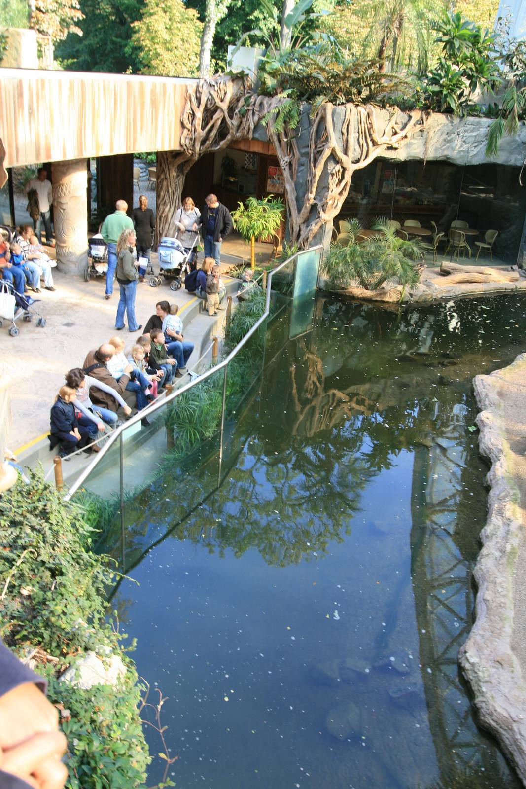Orangutan house moat with otters