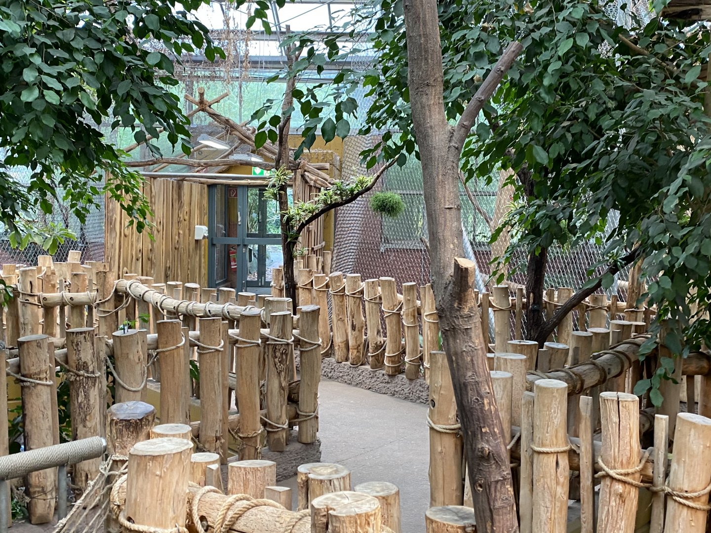 Orangutan House upper level 021219