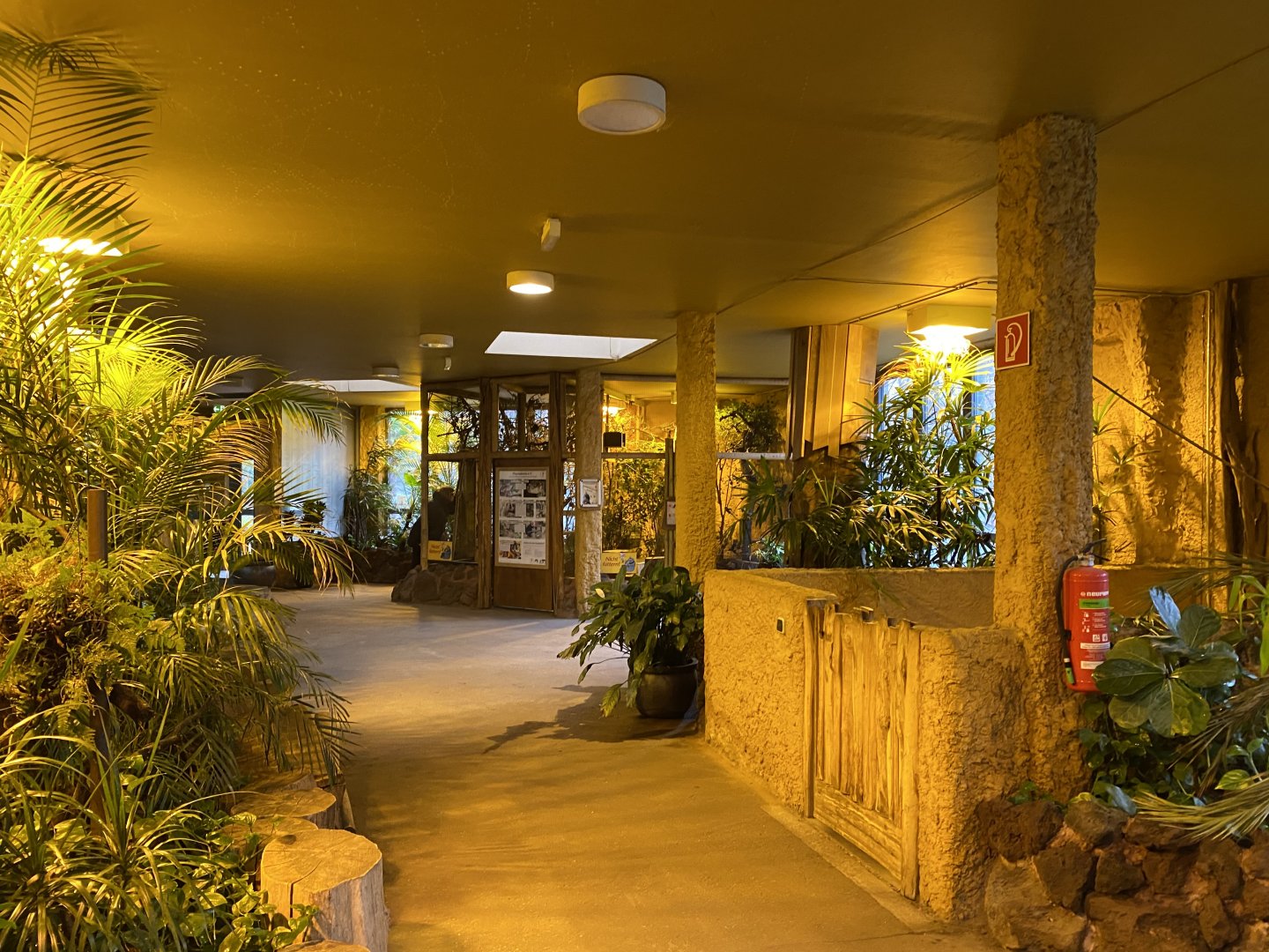 Orangutan House - view towards White-rumped shama and Slow loris exhibits 021219