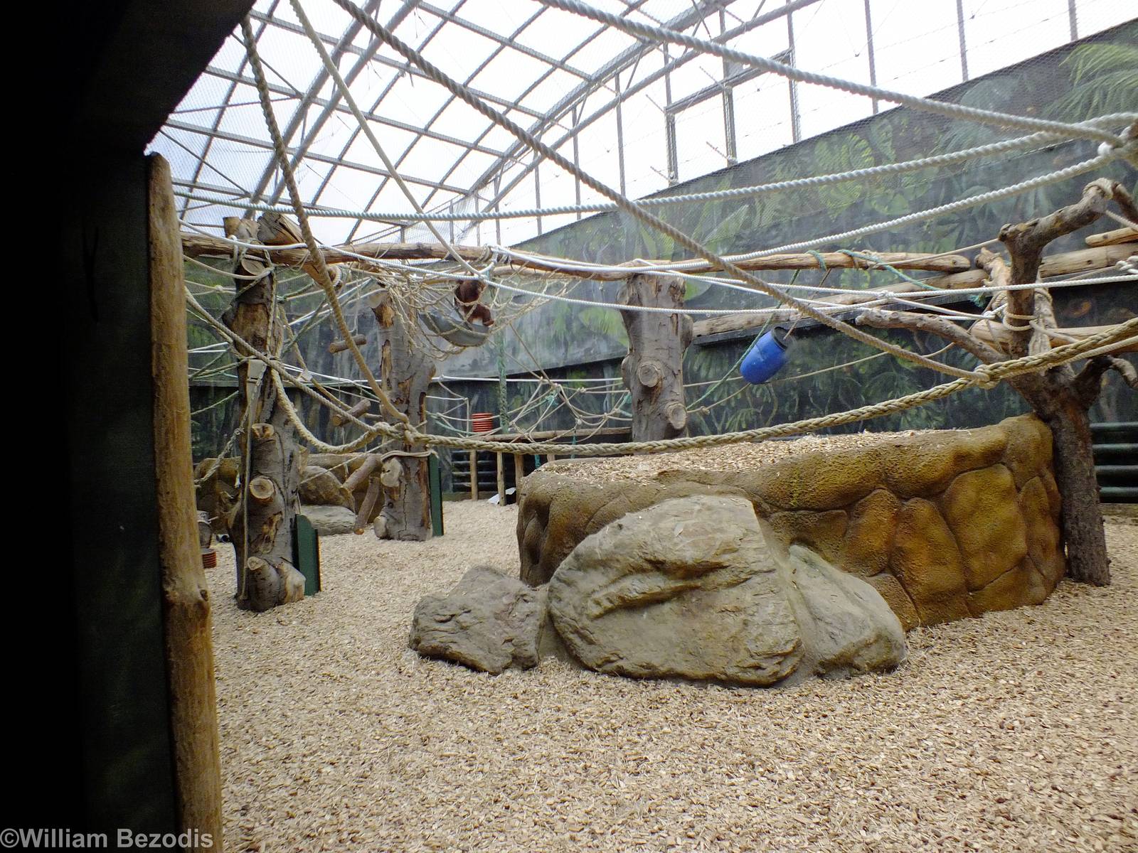 Orangutan Indoor Area - Bird House