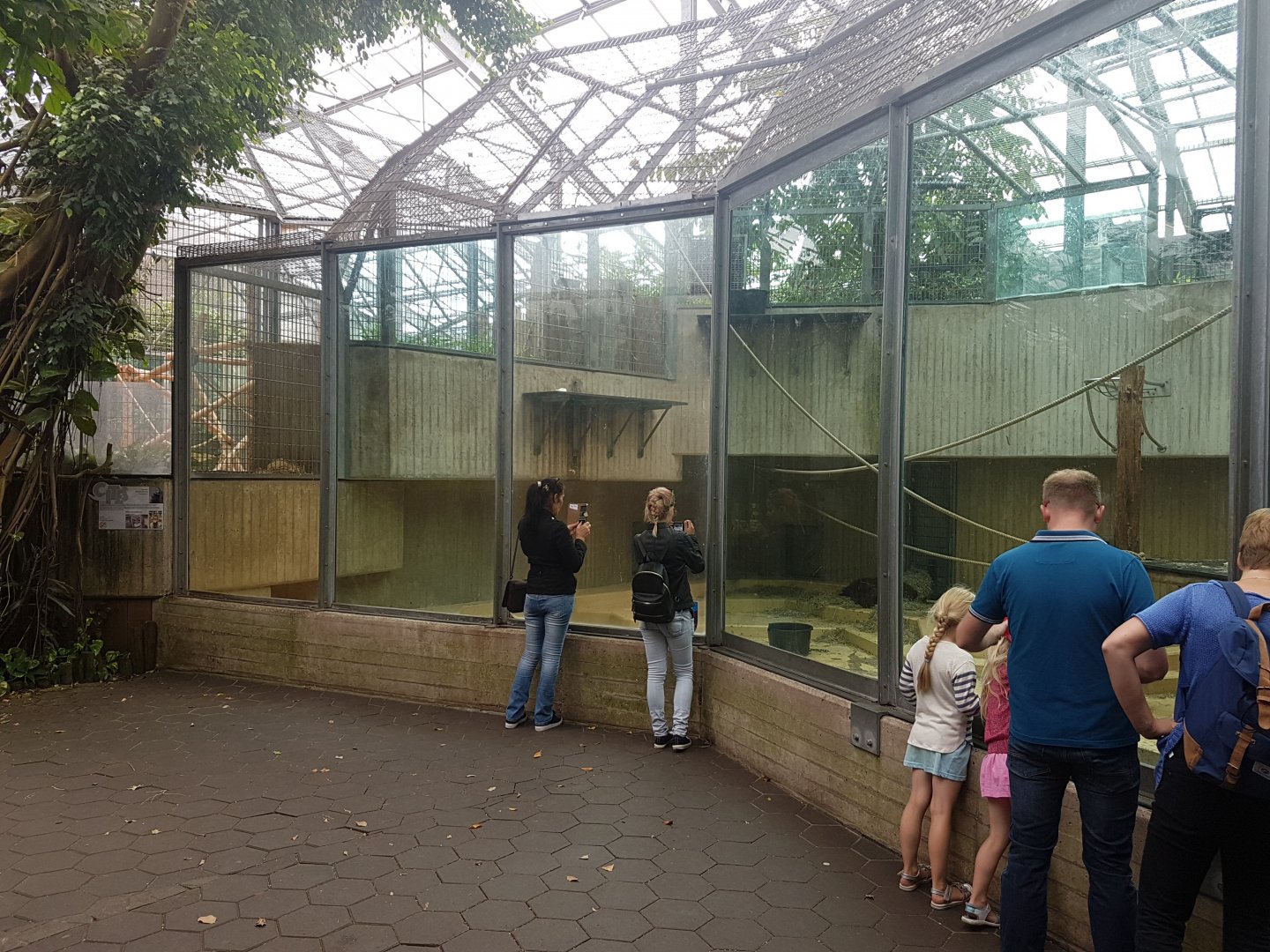 Orangutan indoor-enclosure