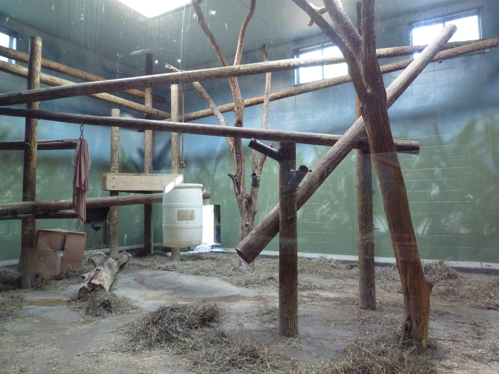 Orangutan Indoor Exhibit